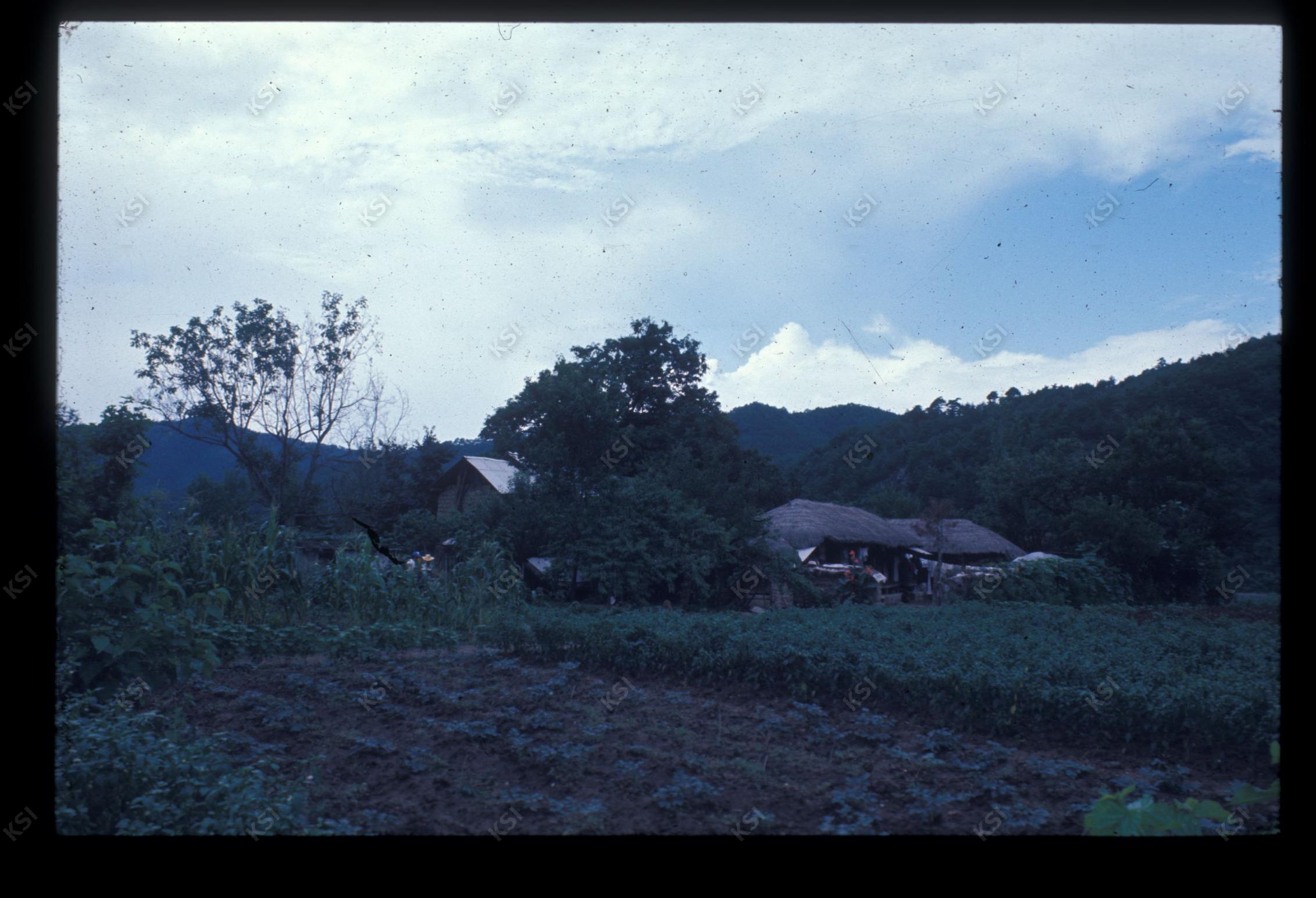 1975년 의인