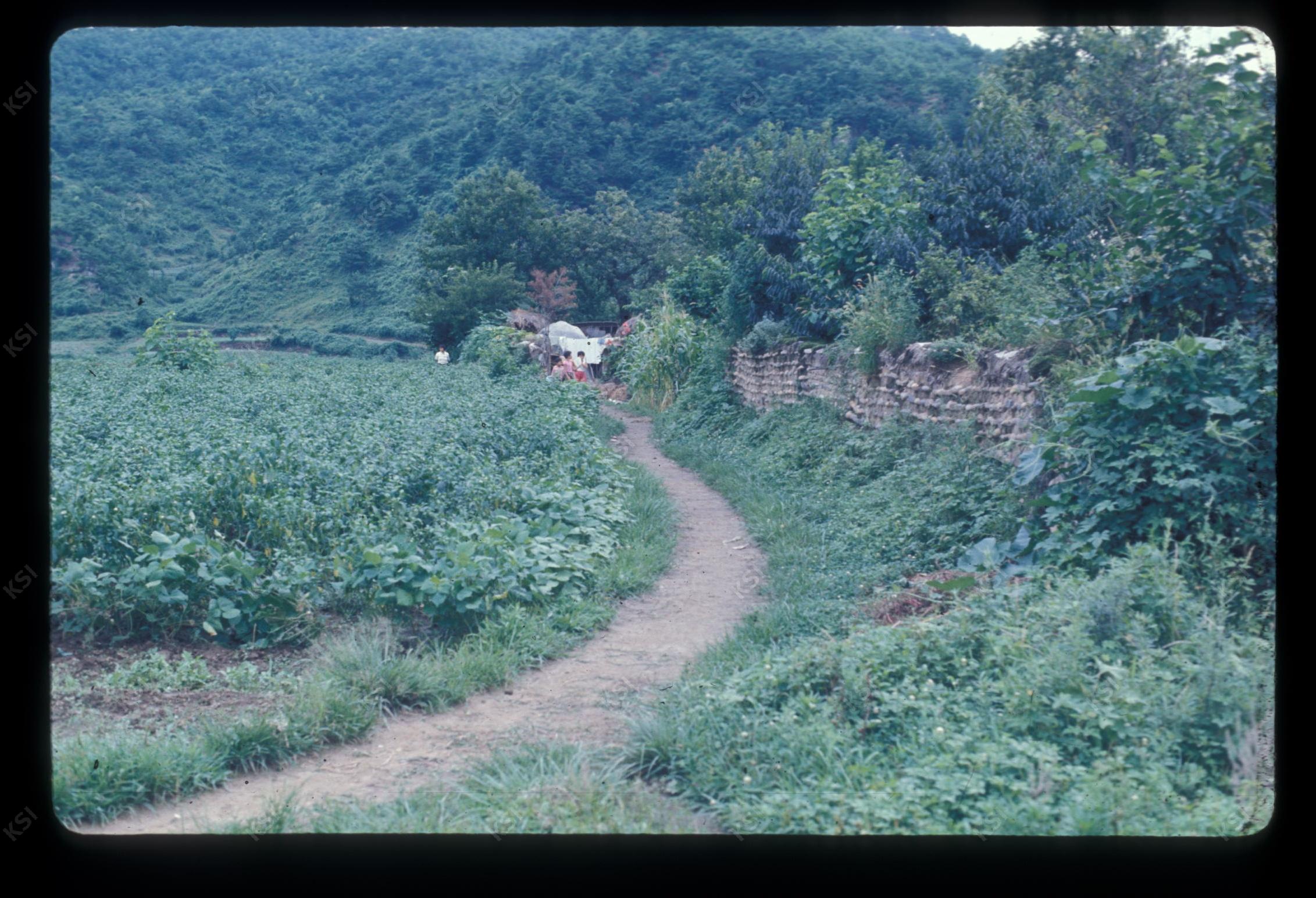 1975년 의인