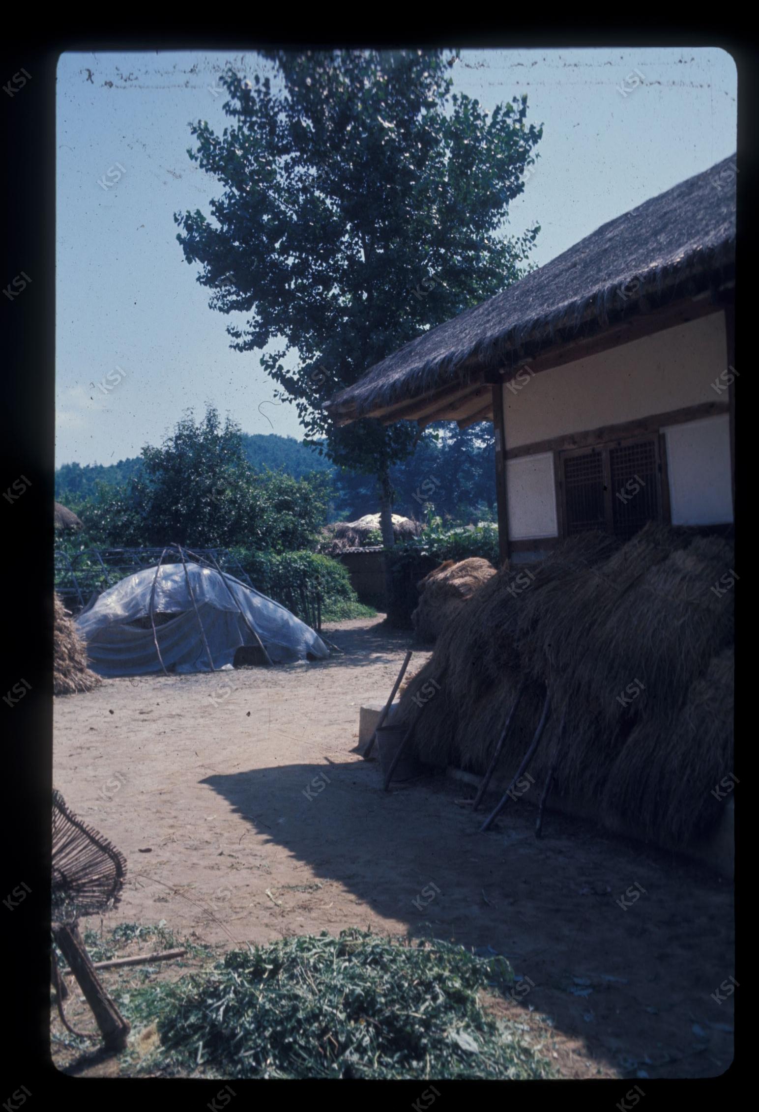 1975년 의인