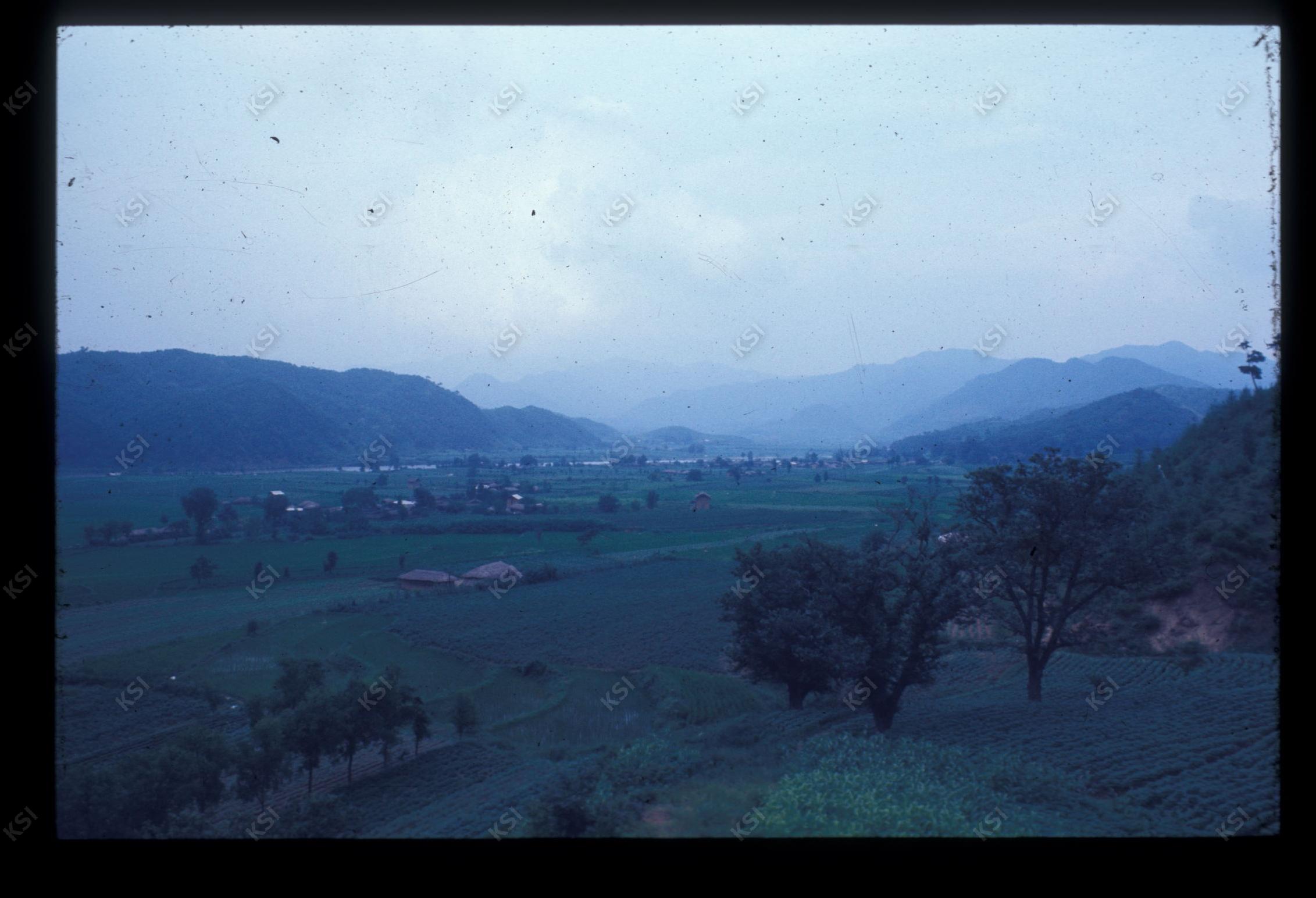 1975년 의인