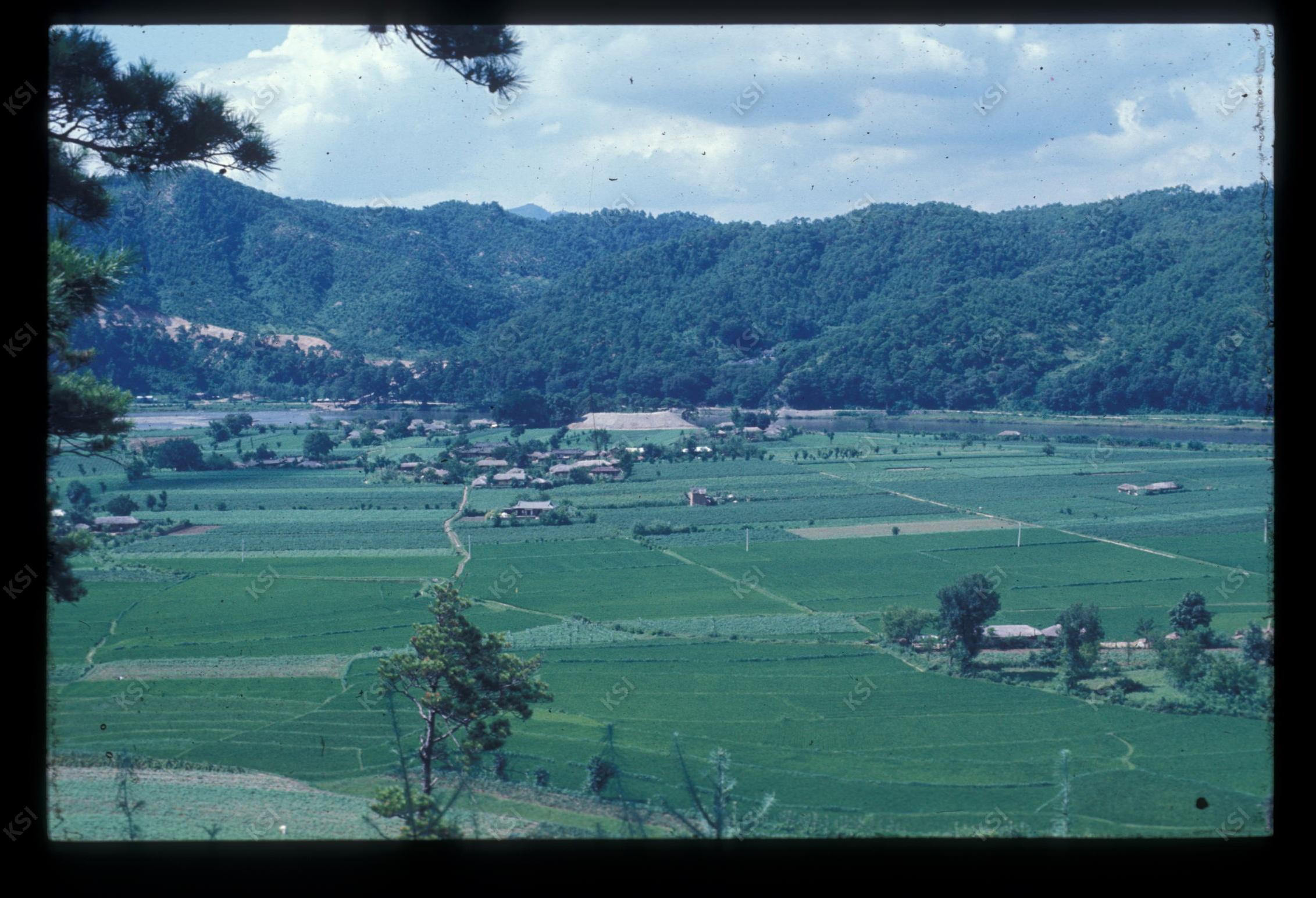 1975년 의인