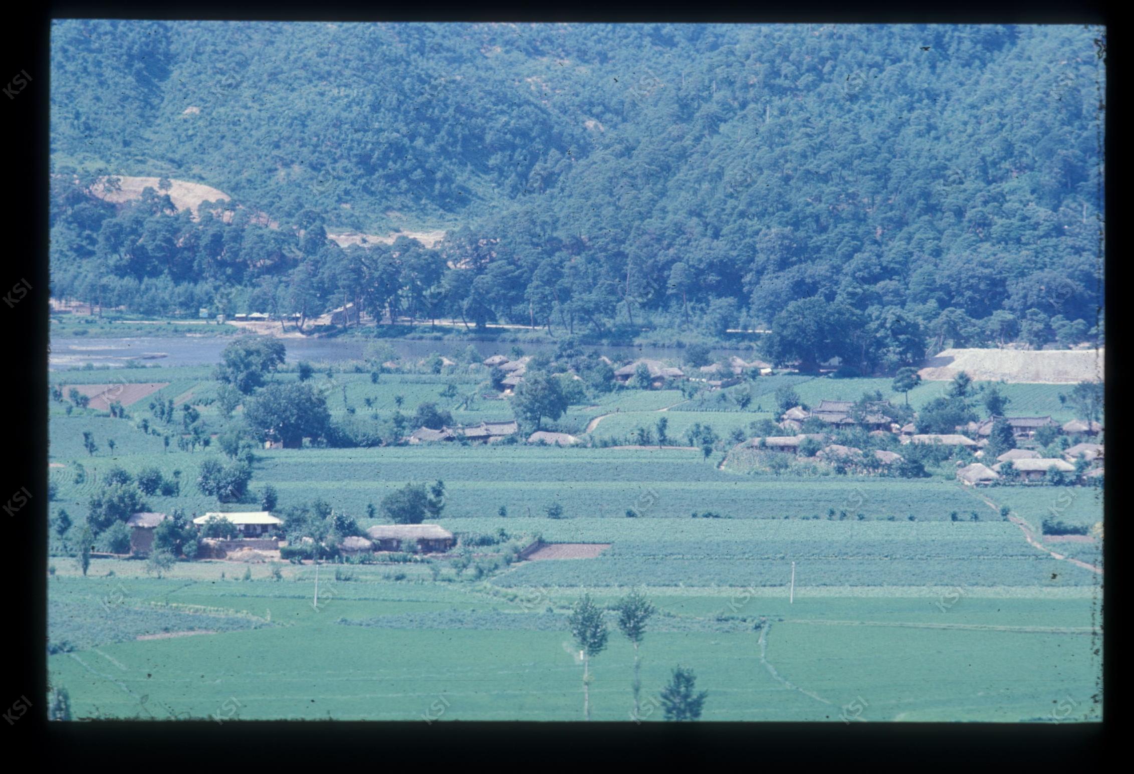 1975년 의인