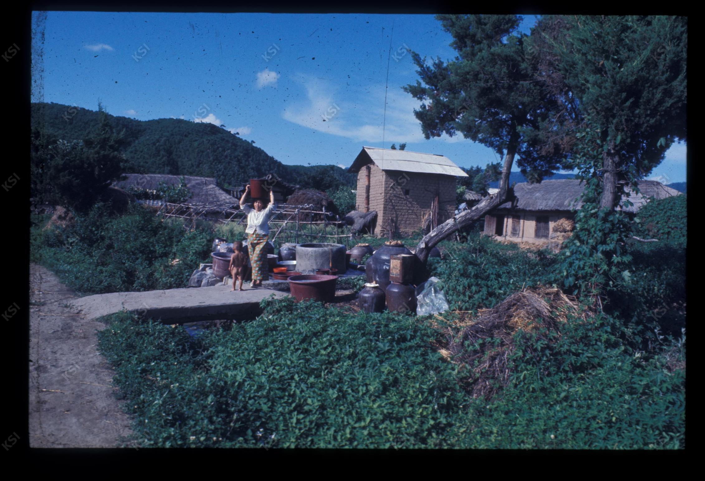 1975년 의인