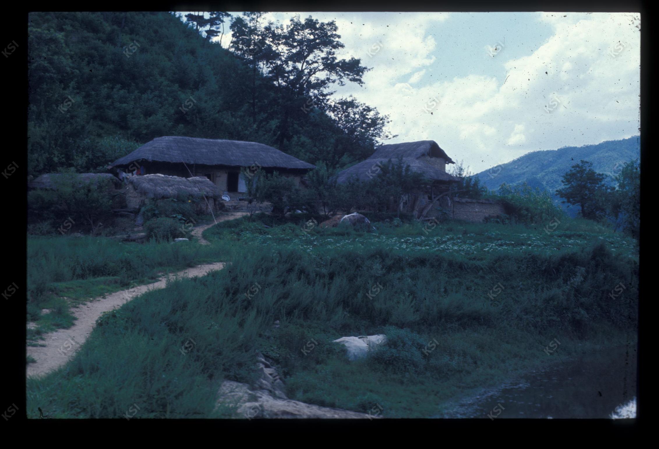 1975년 의인