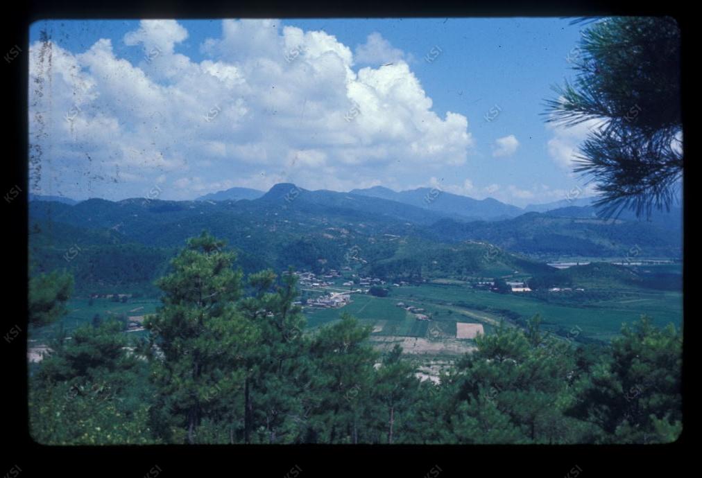 1975년 의인에서 본 토계