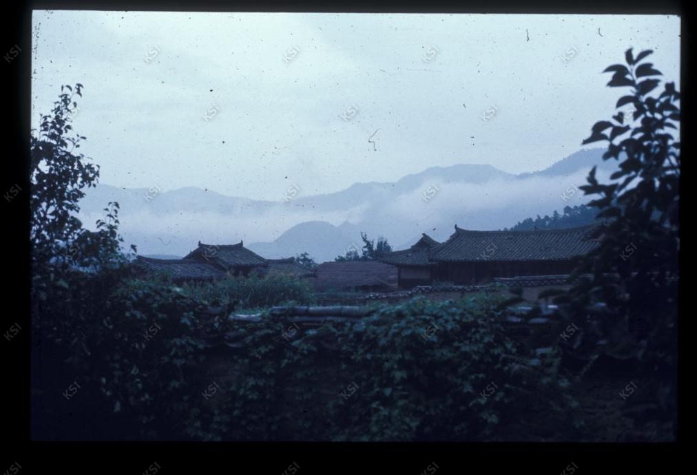 1975년 의촌 진보댁