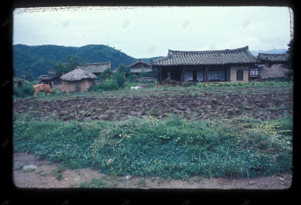 1975년 의촌 청안댁(은졸재)