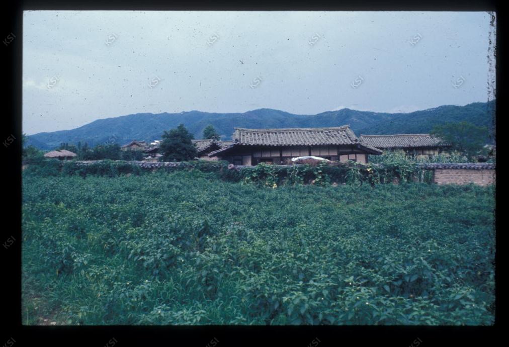 1975년 의촌 청안댁(은졸재)