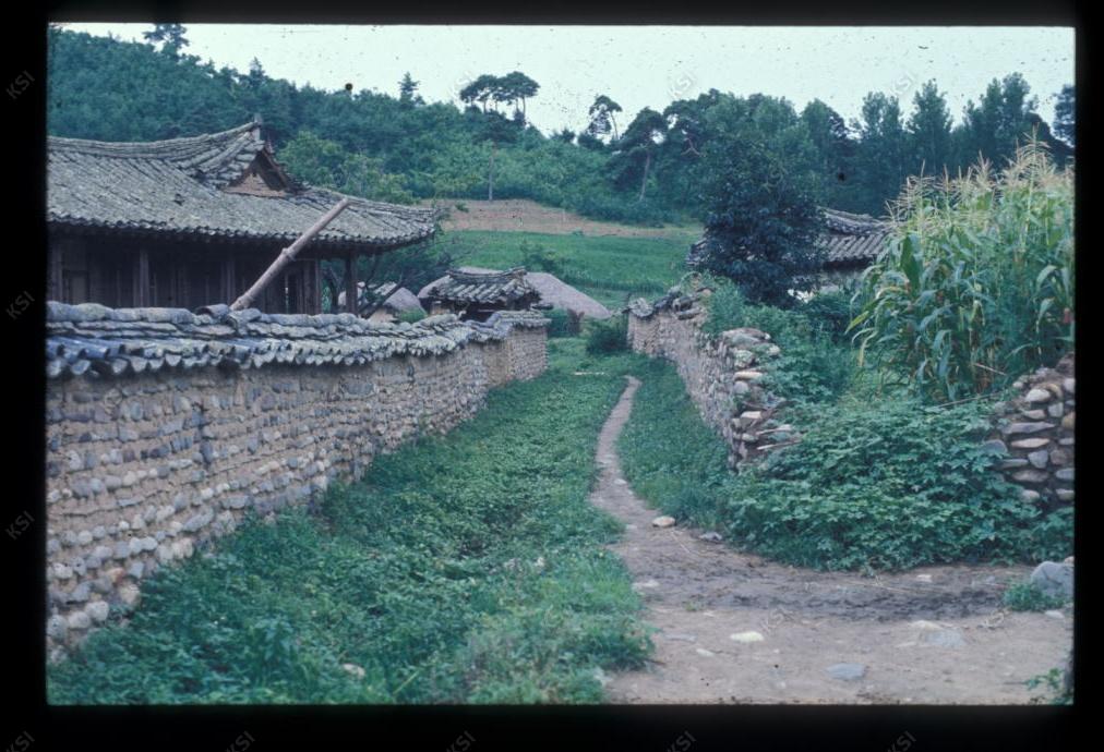 1975년 의촌 청안댁(은졸재) 길
