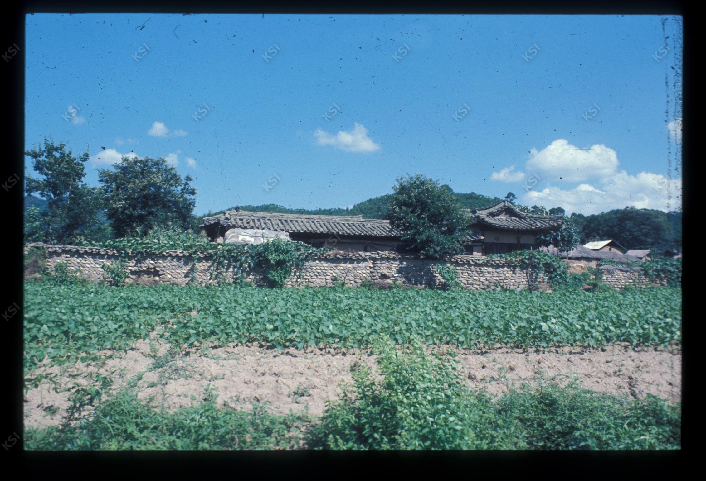 1975년 의촌 초산댁