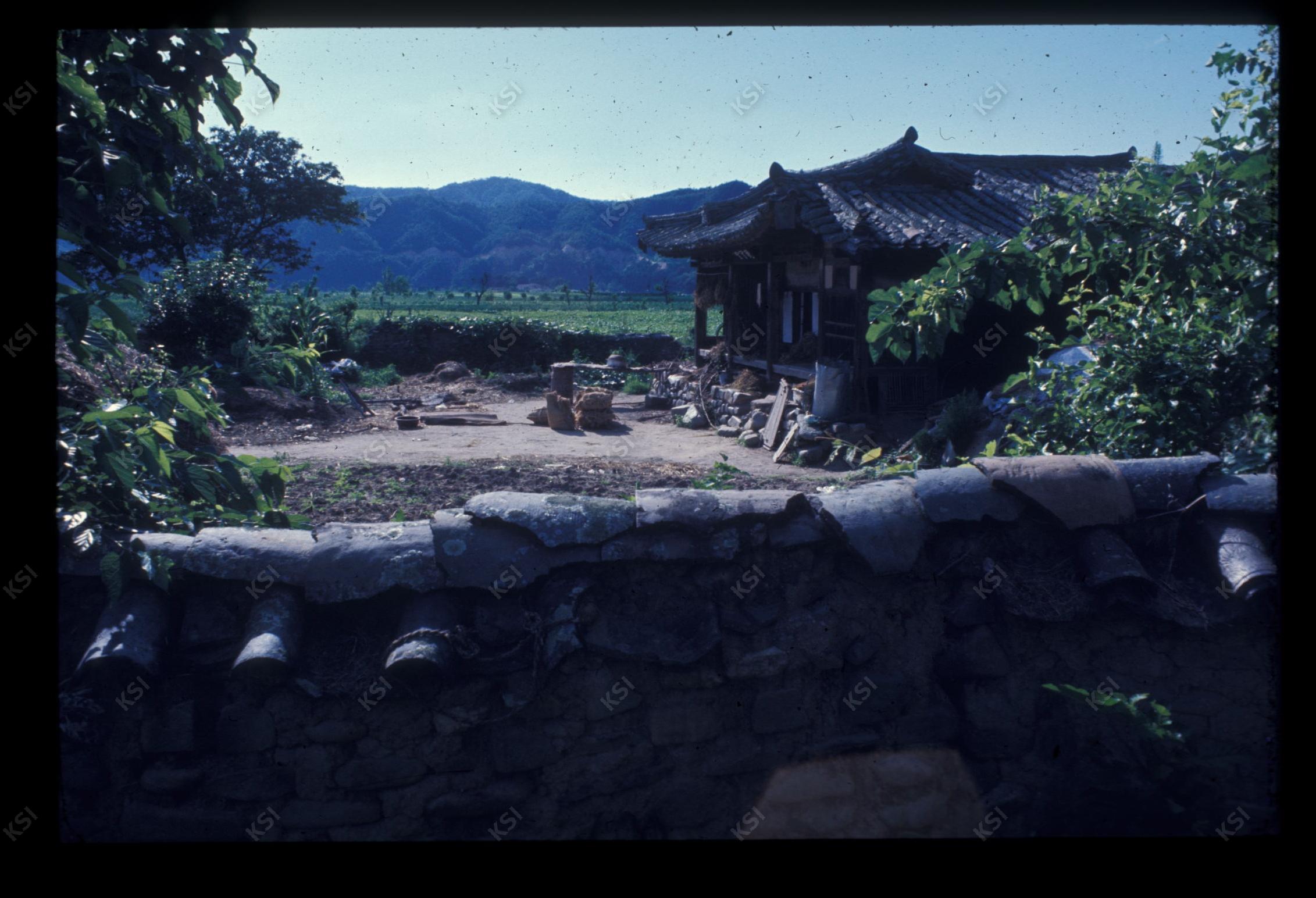 1975년 의촌 초산댁