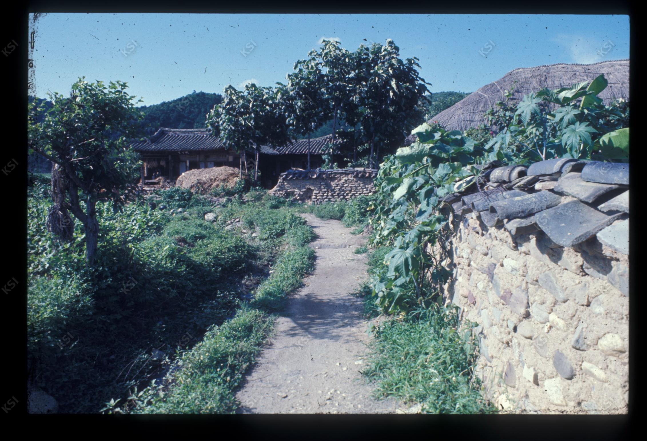 1975년 의촌 초산댁