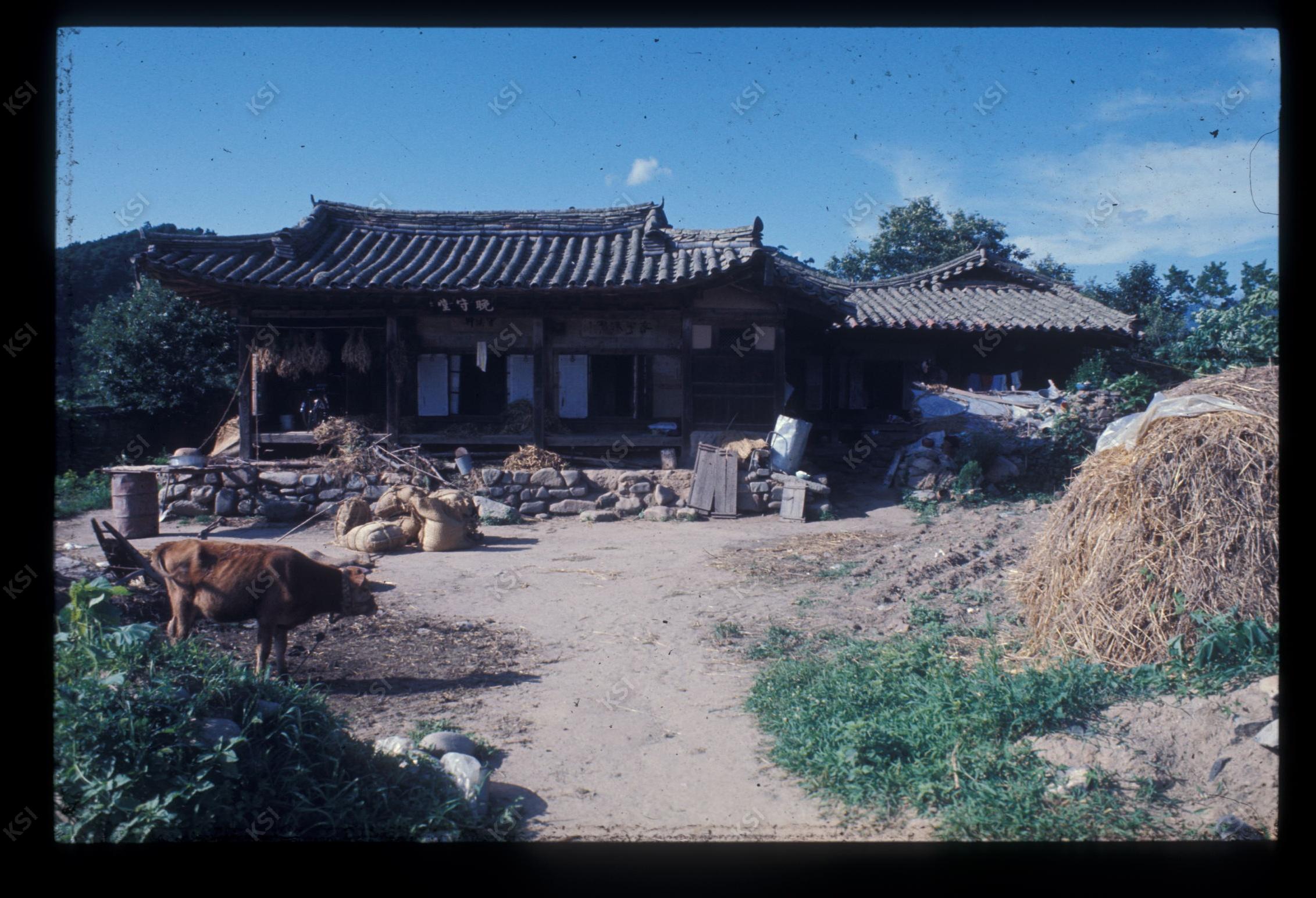 1975년 의촌 초산댁