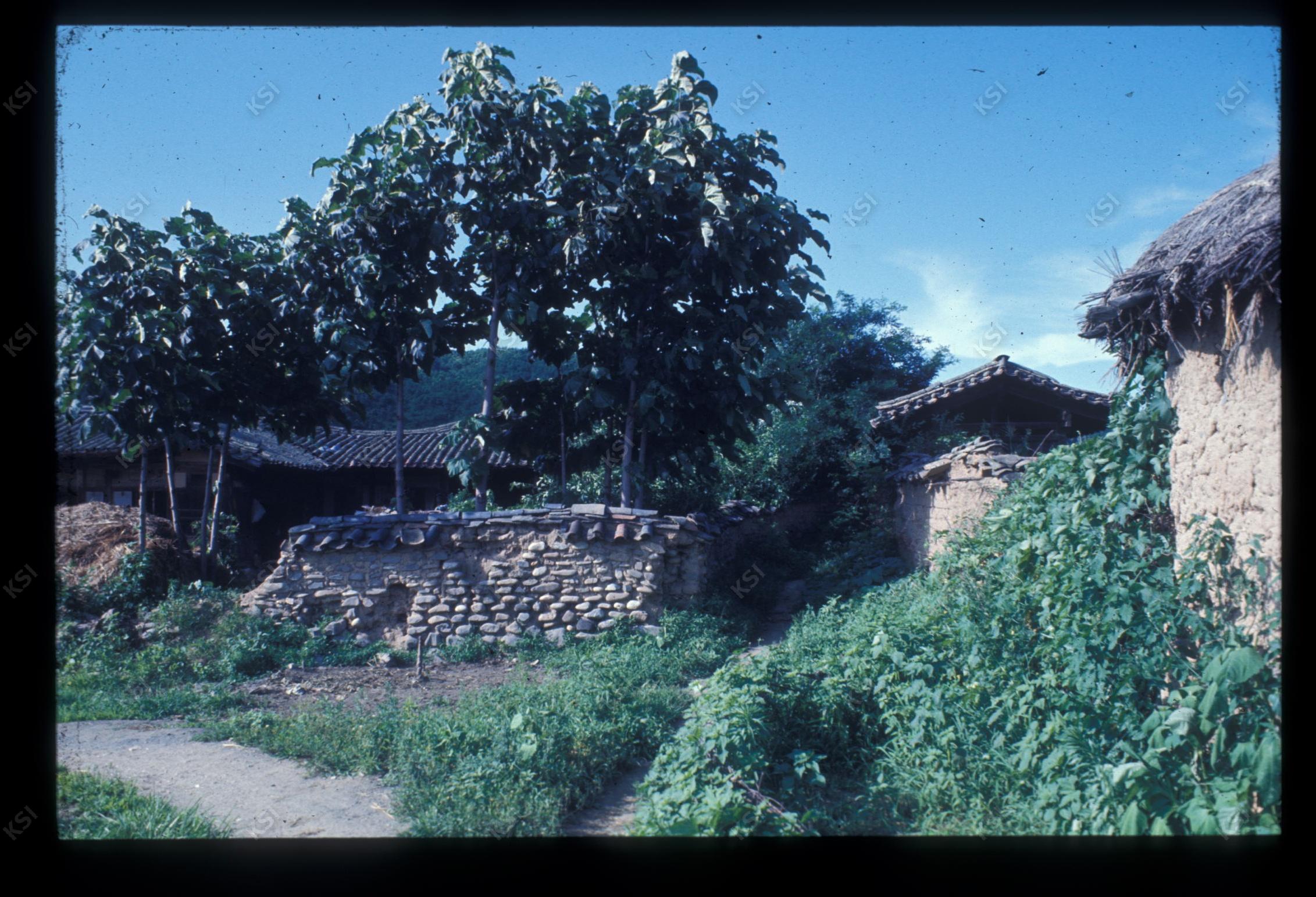 1975년 의촌 초산댁