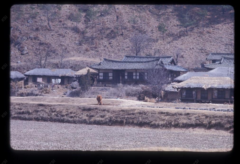 1975년 토계 하계 수졸당