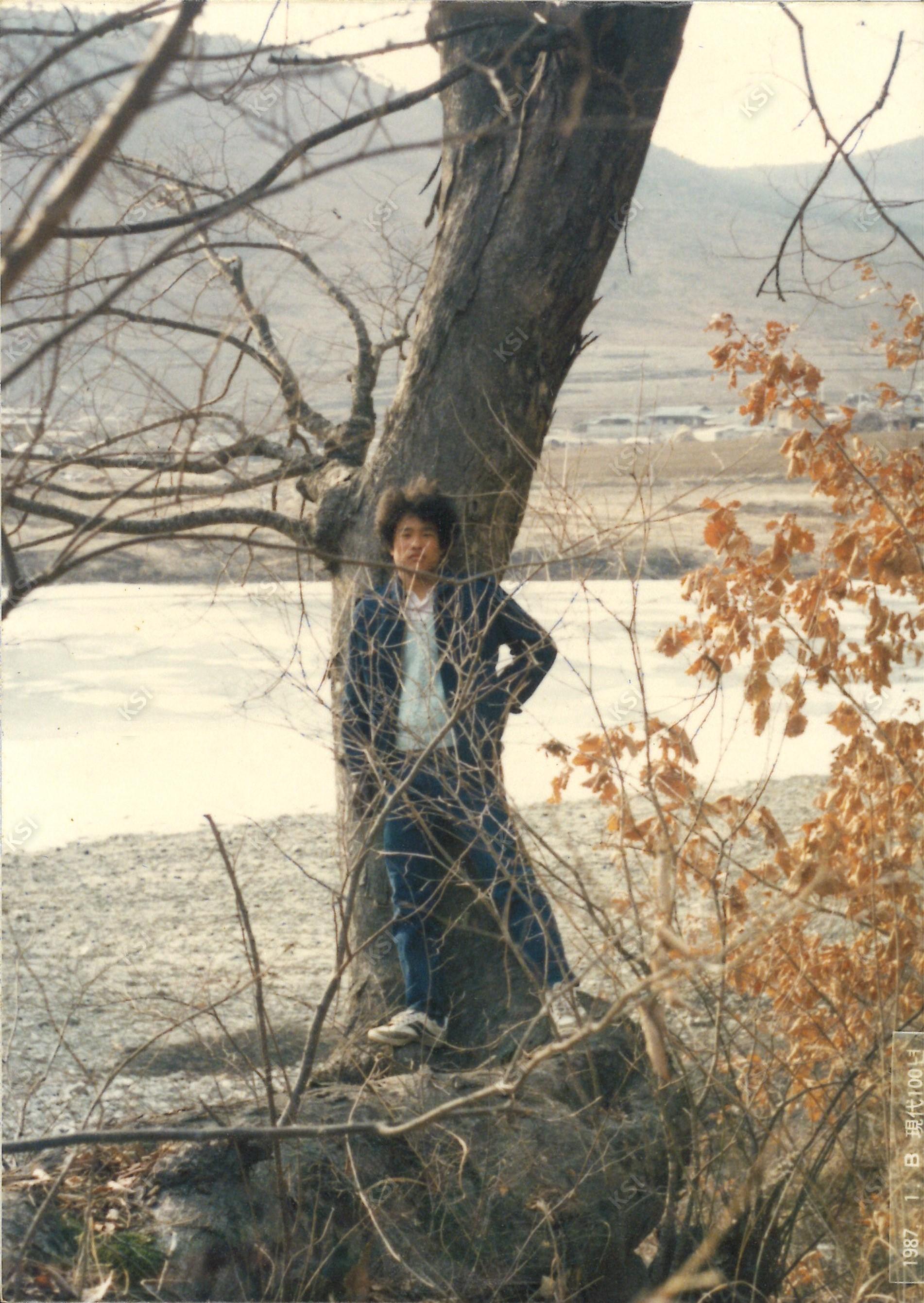 1987년 가송리 고산정 앞 나무에서