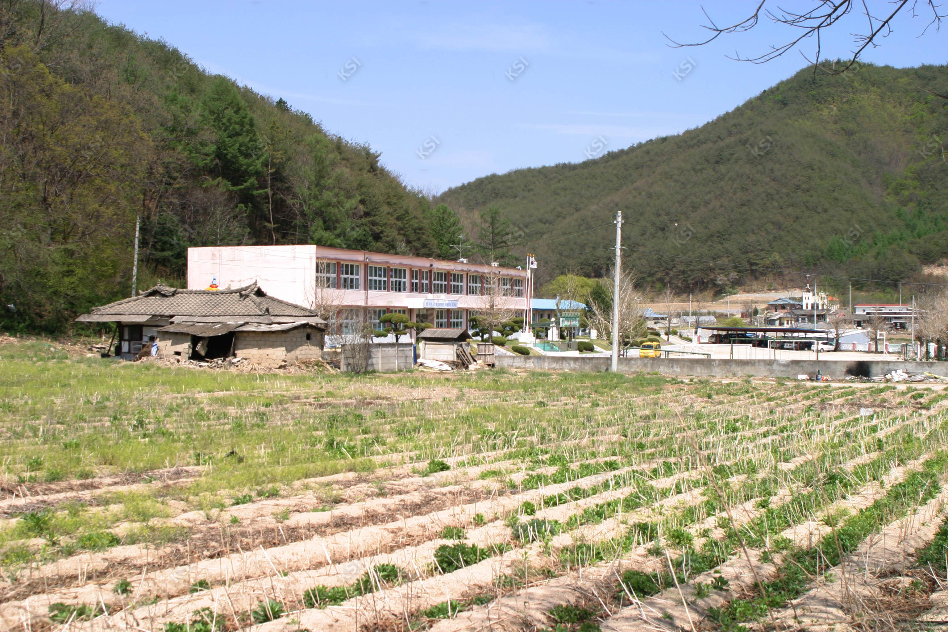 2006년 삼백당