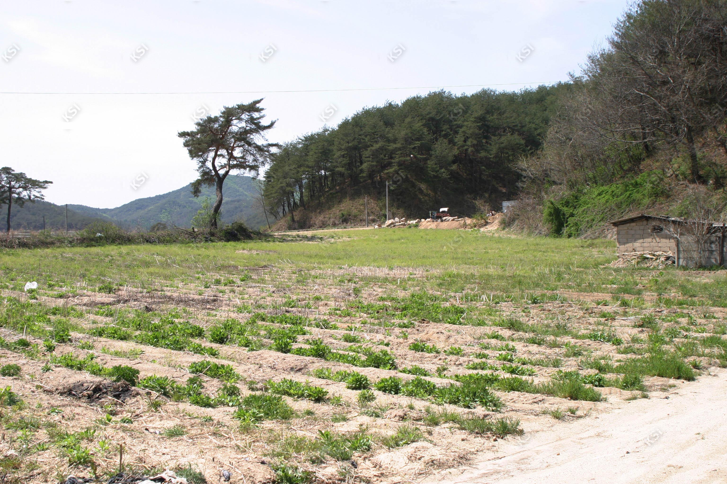 2006년 삼백당