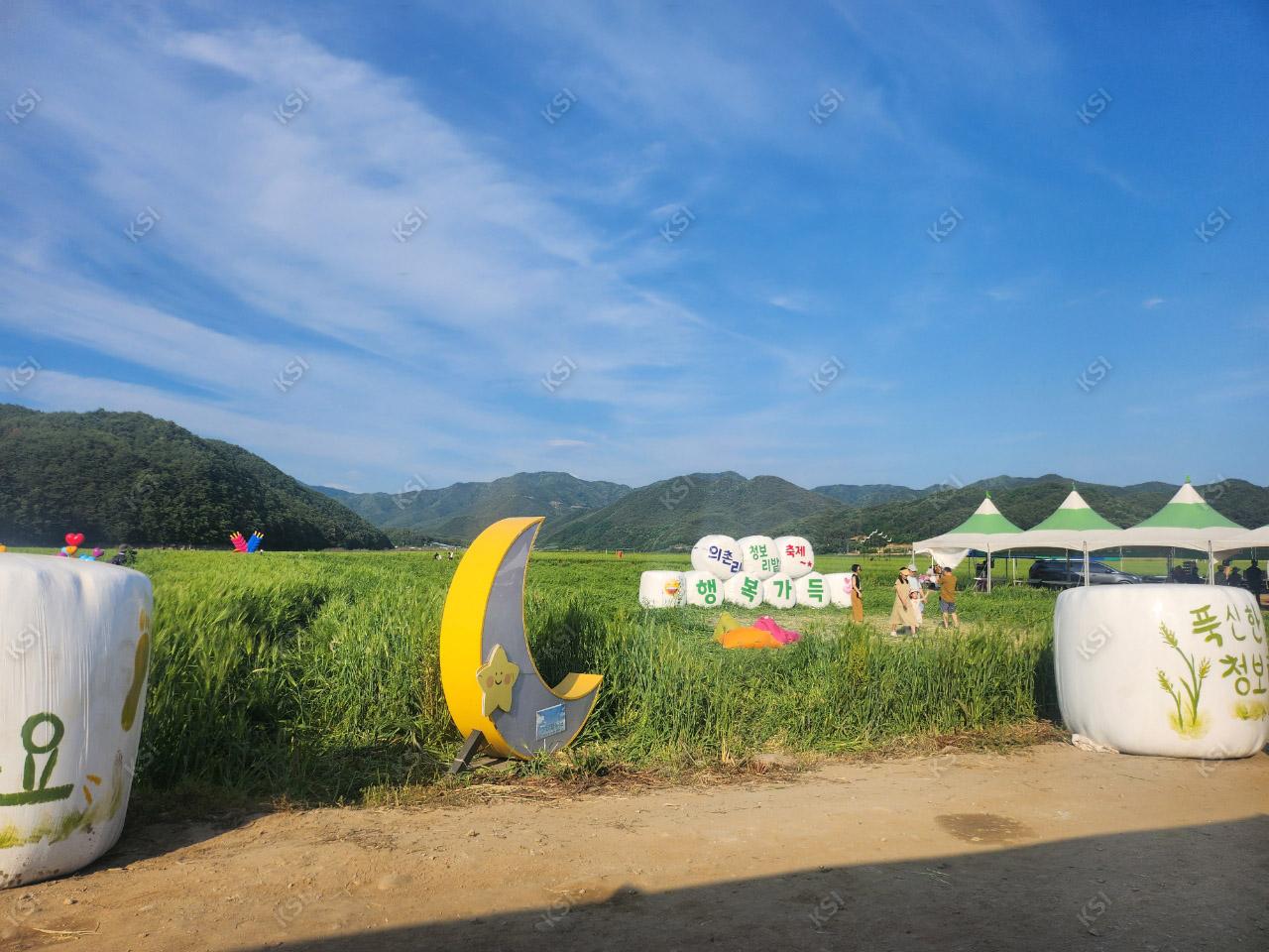 2023년 의촌 청보리밭 축제장