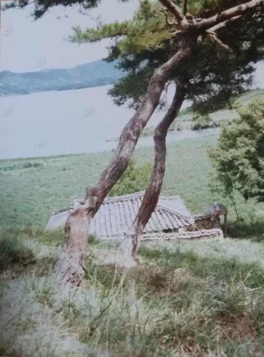 1970년대 월천서당