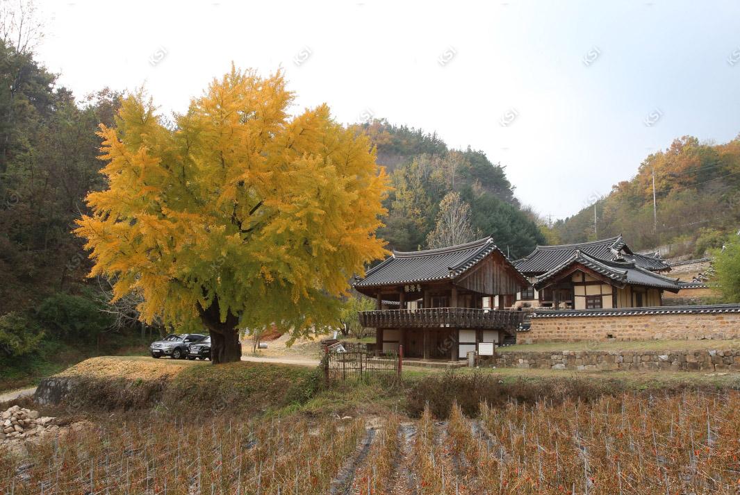 2017년 예안향교
