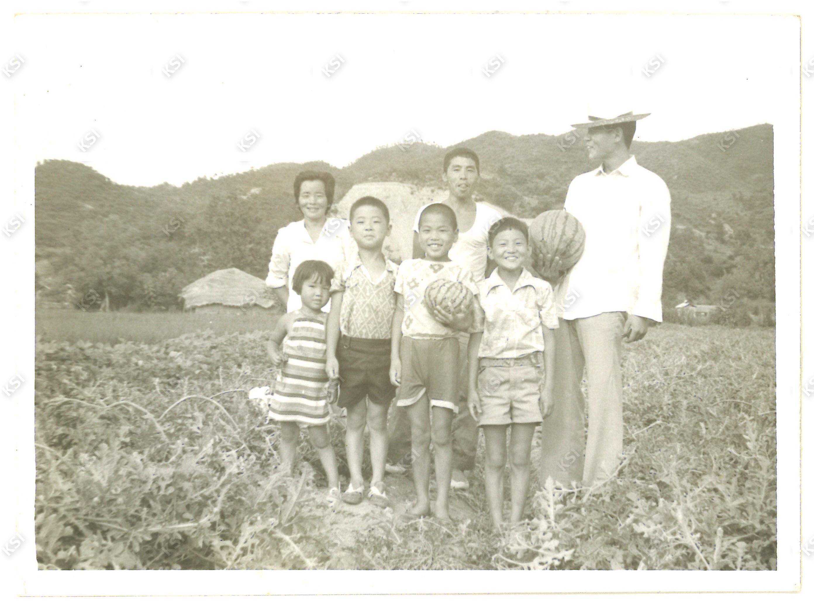 부포리 이원육 수박밭