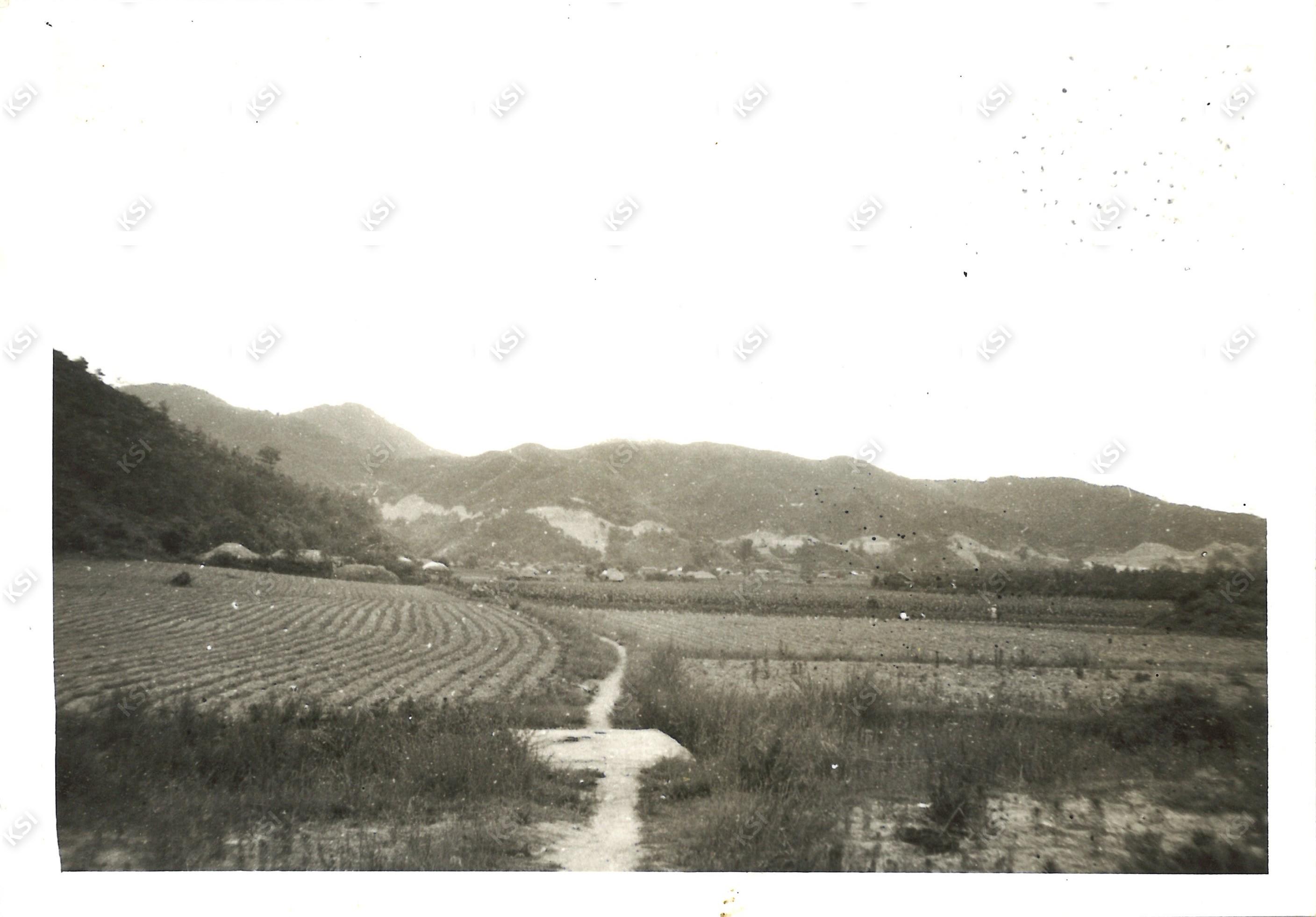 부포리 역동 비키골 입구