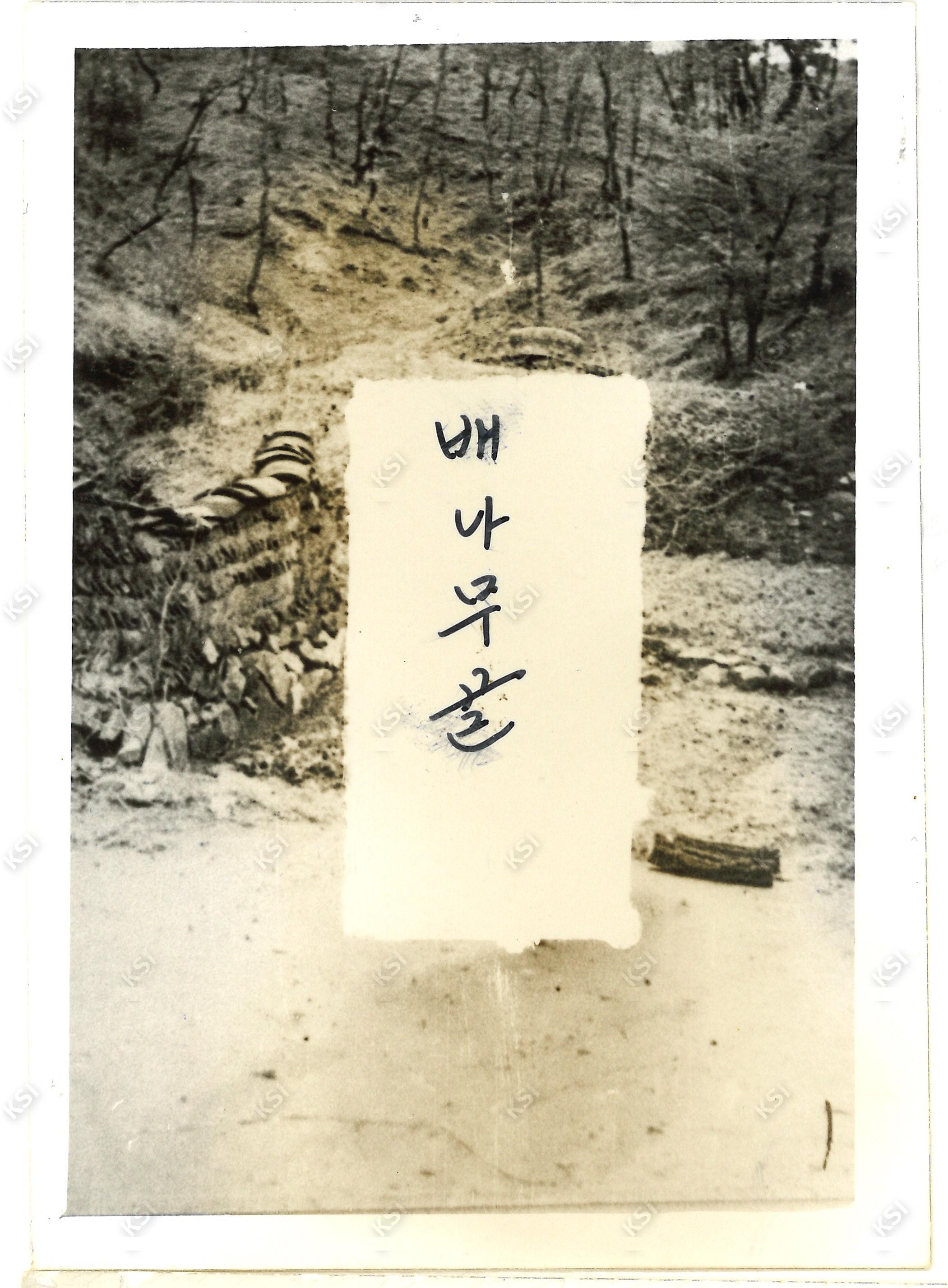 부포리 배나무골
