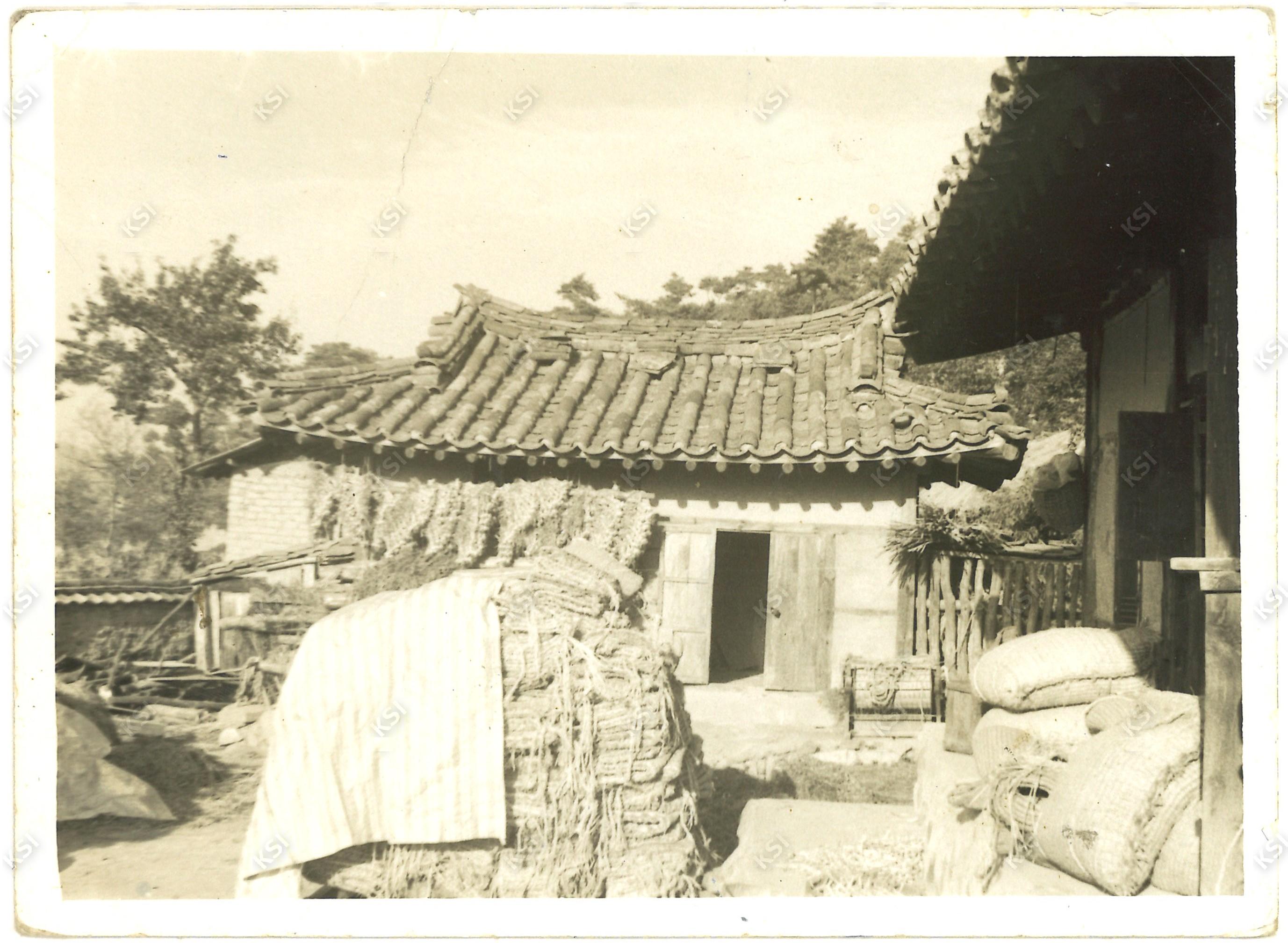 부포리 금진동가