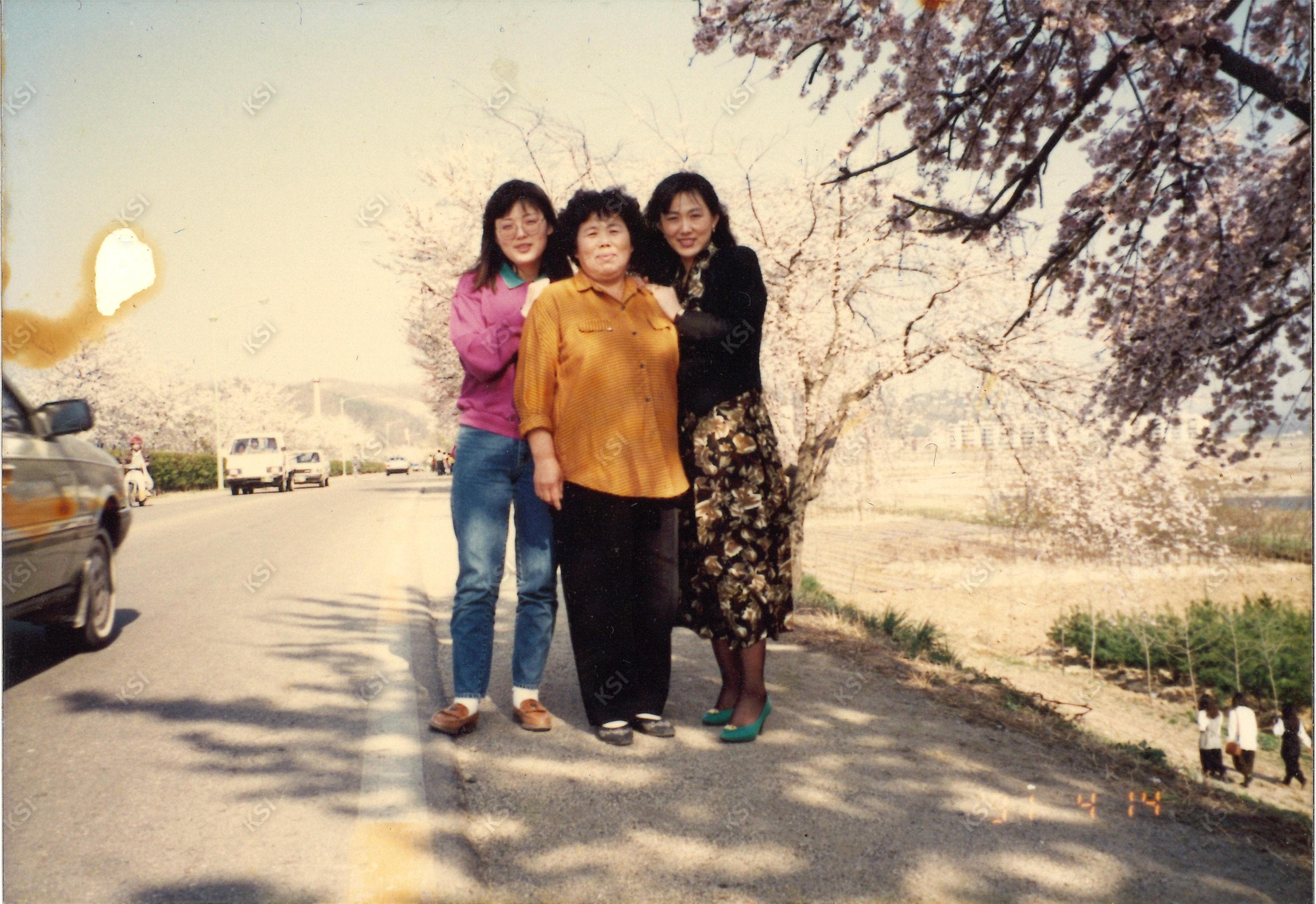 1991년 4월 14일 벚꽃길에서