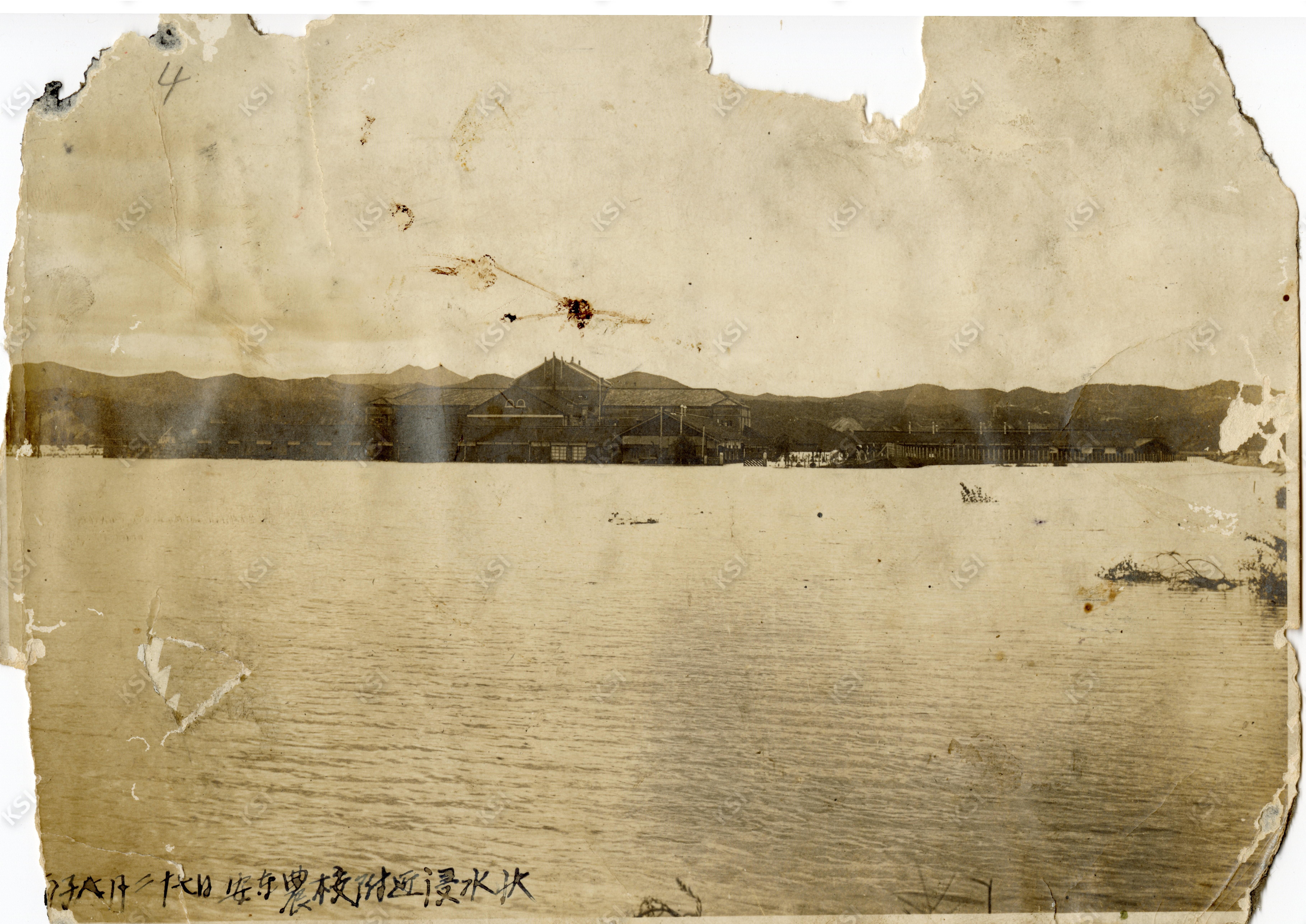 1936년 홍수로 물에 잠긴 안동농림고등학교의 전경
