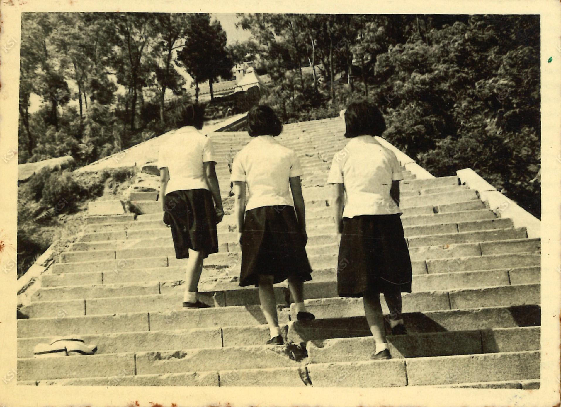 1965년 영남산 일본신사 입구에서