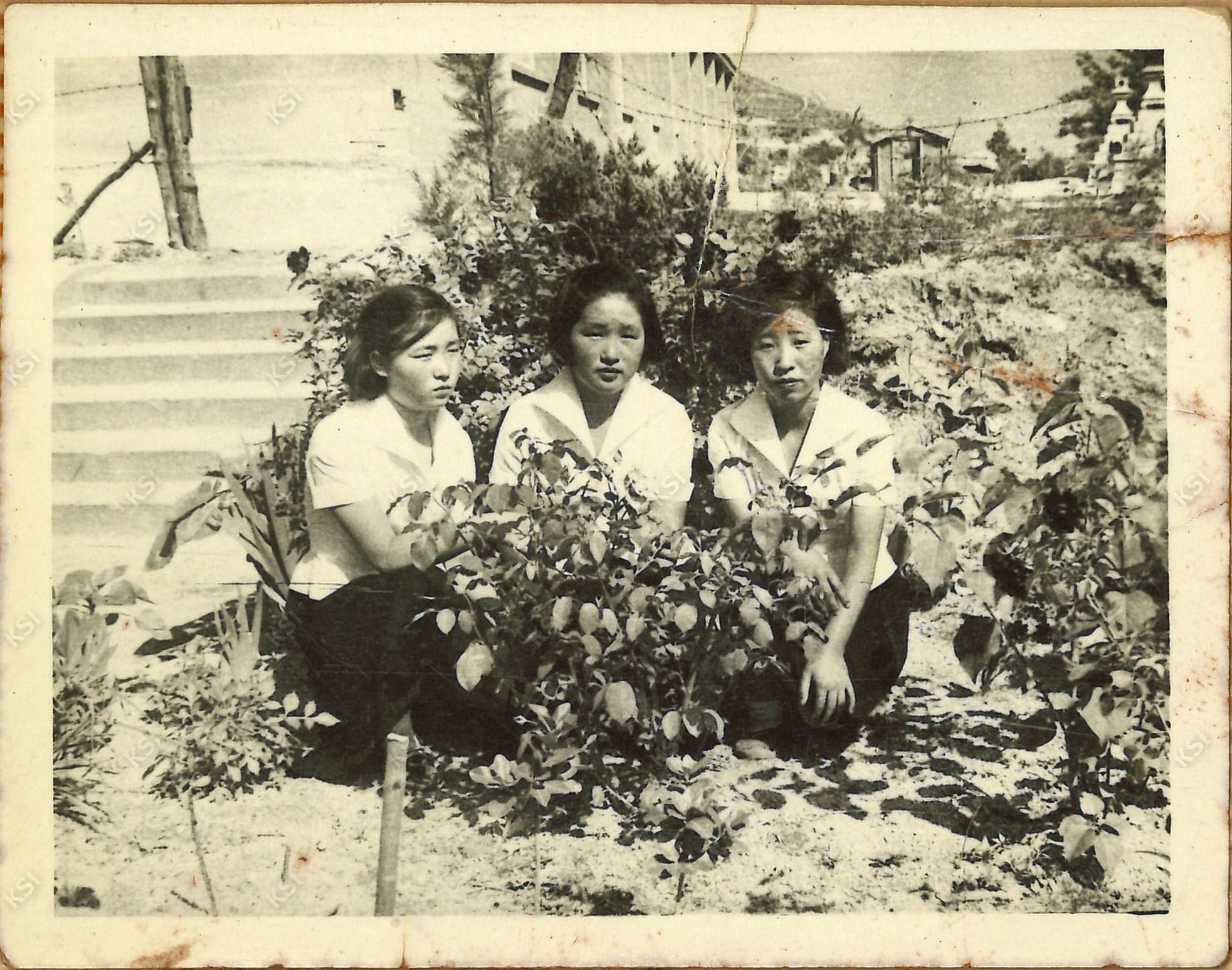 1965년 영남산 일본신사 입구에서