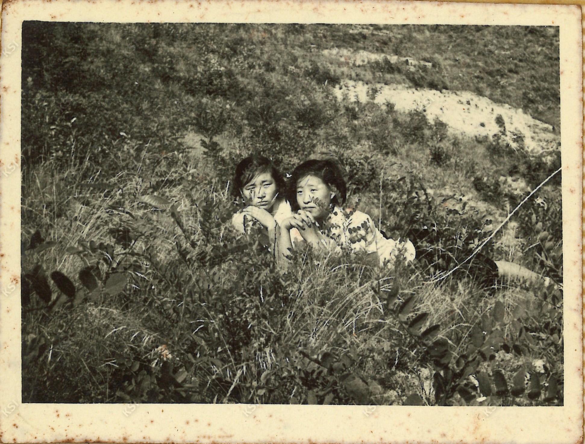 1965년 영남산에서