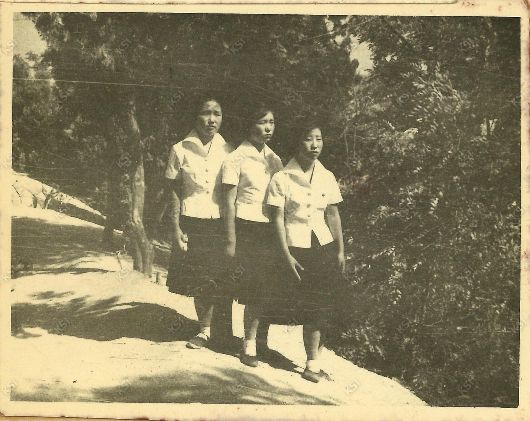 1965년 영남산에서
