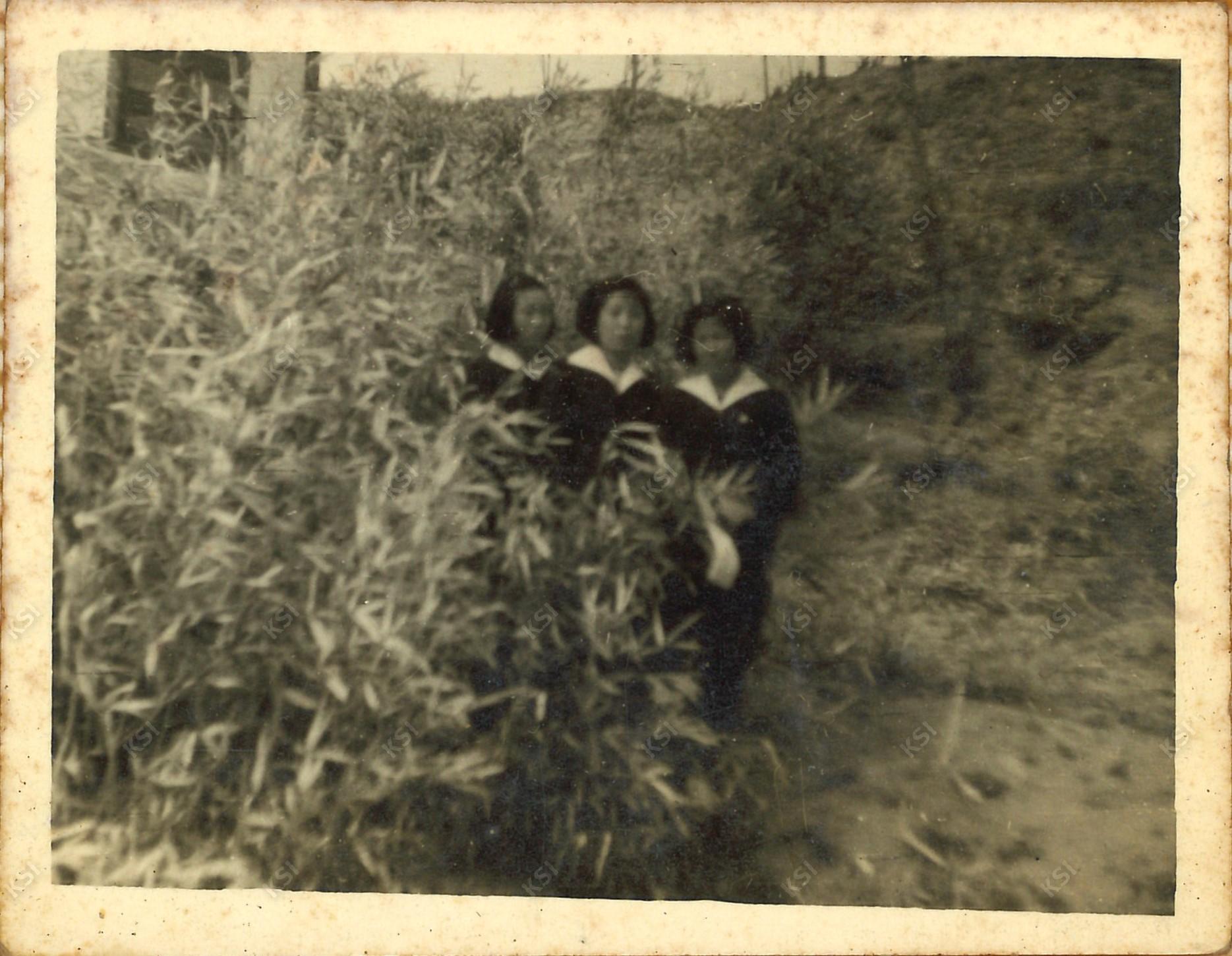 1966년 가을 수학여행 속리산에서