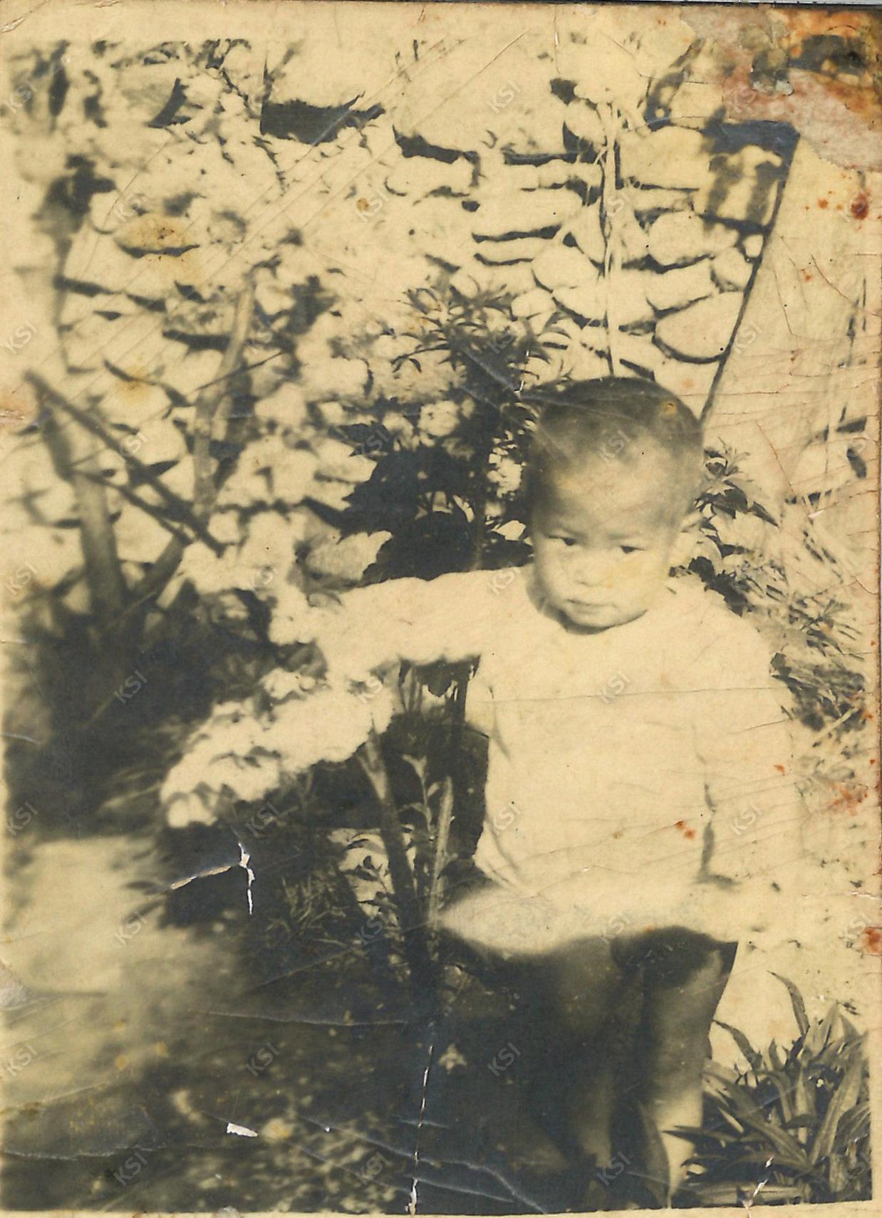 1951년 꽃밭에서 어린 시절의 나