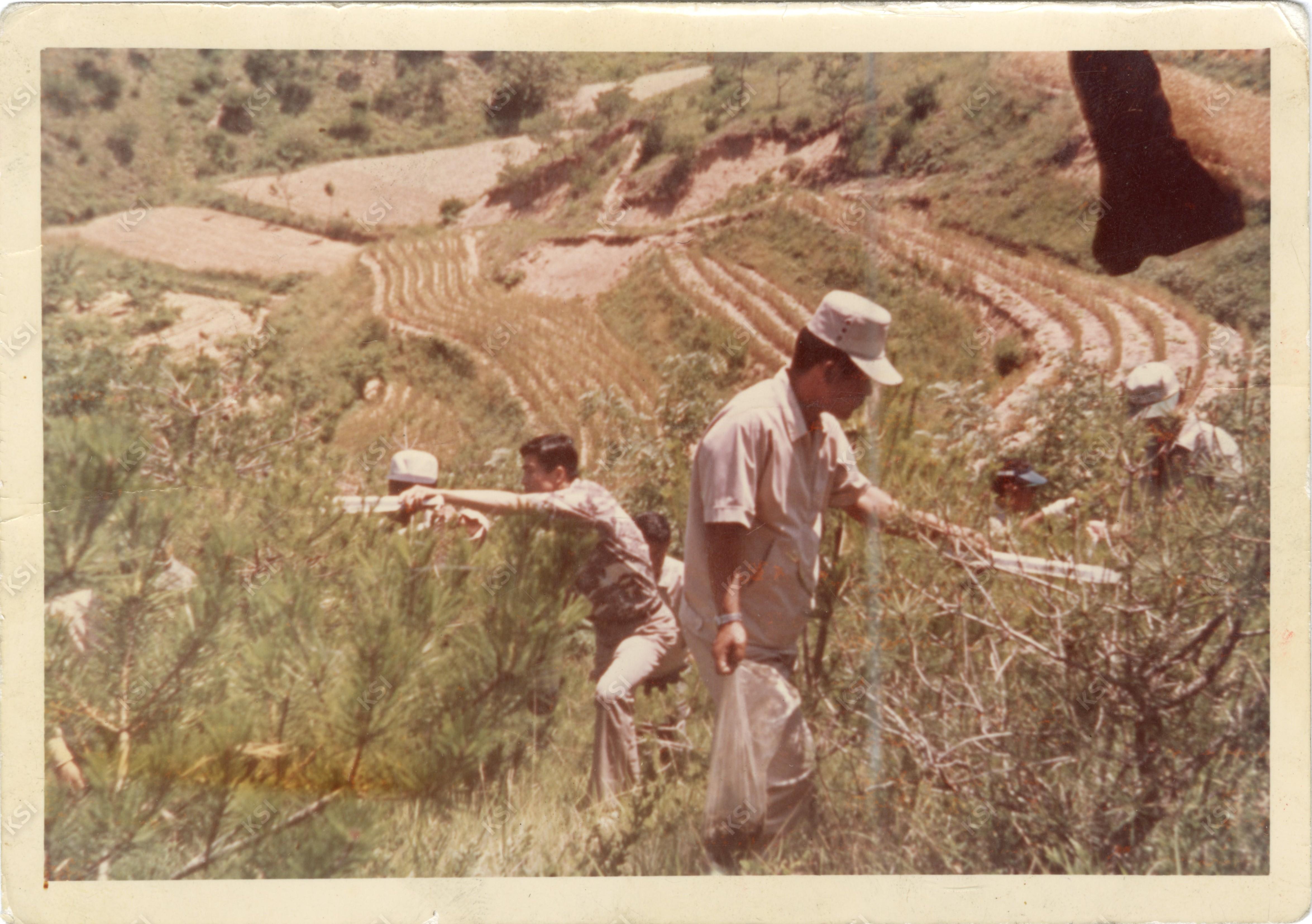 1970년대 새마을 지도자 송충이 잡기