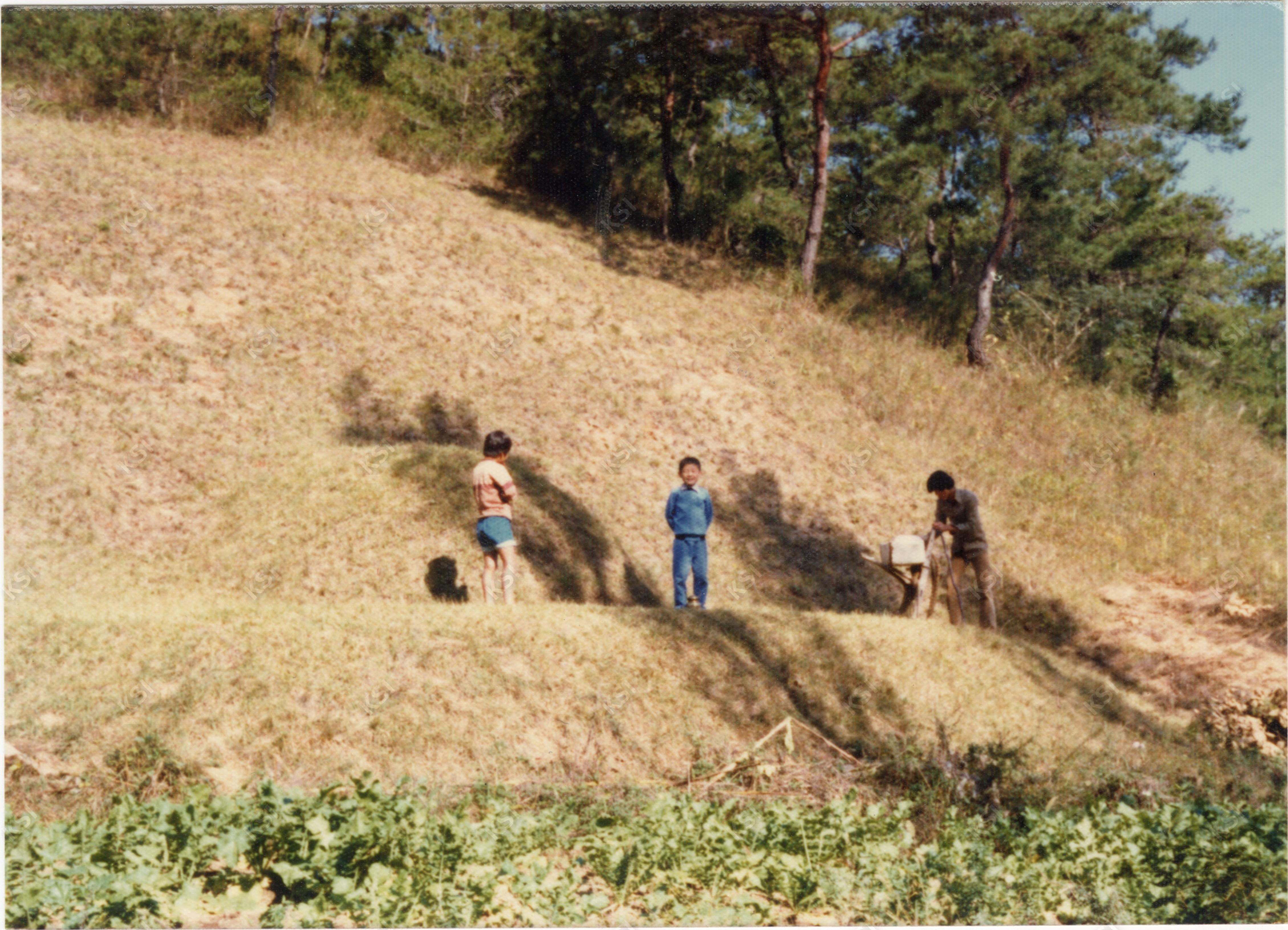 1980년대 망천리 산소에서