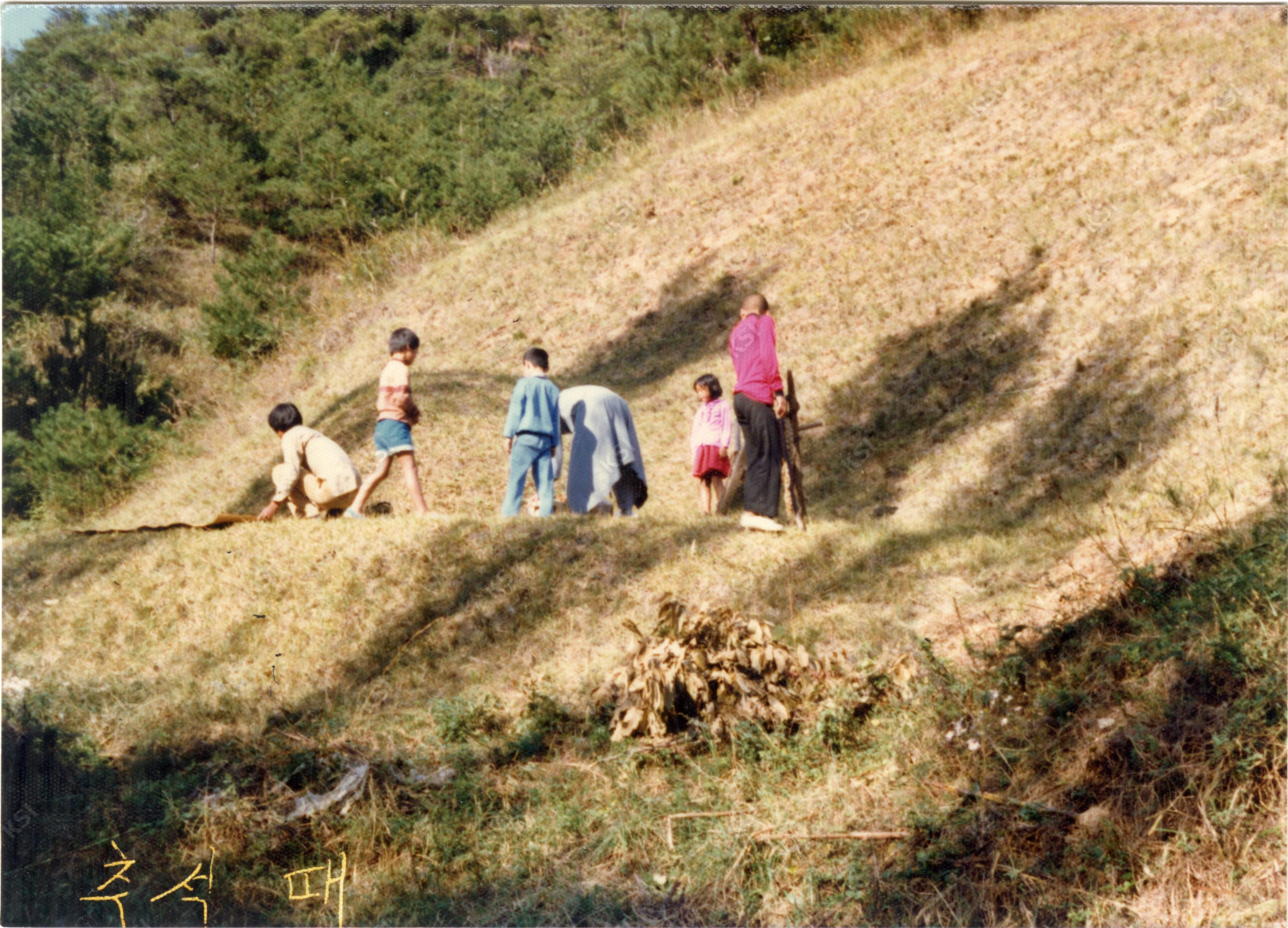 1980년대 망천리 산소에서