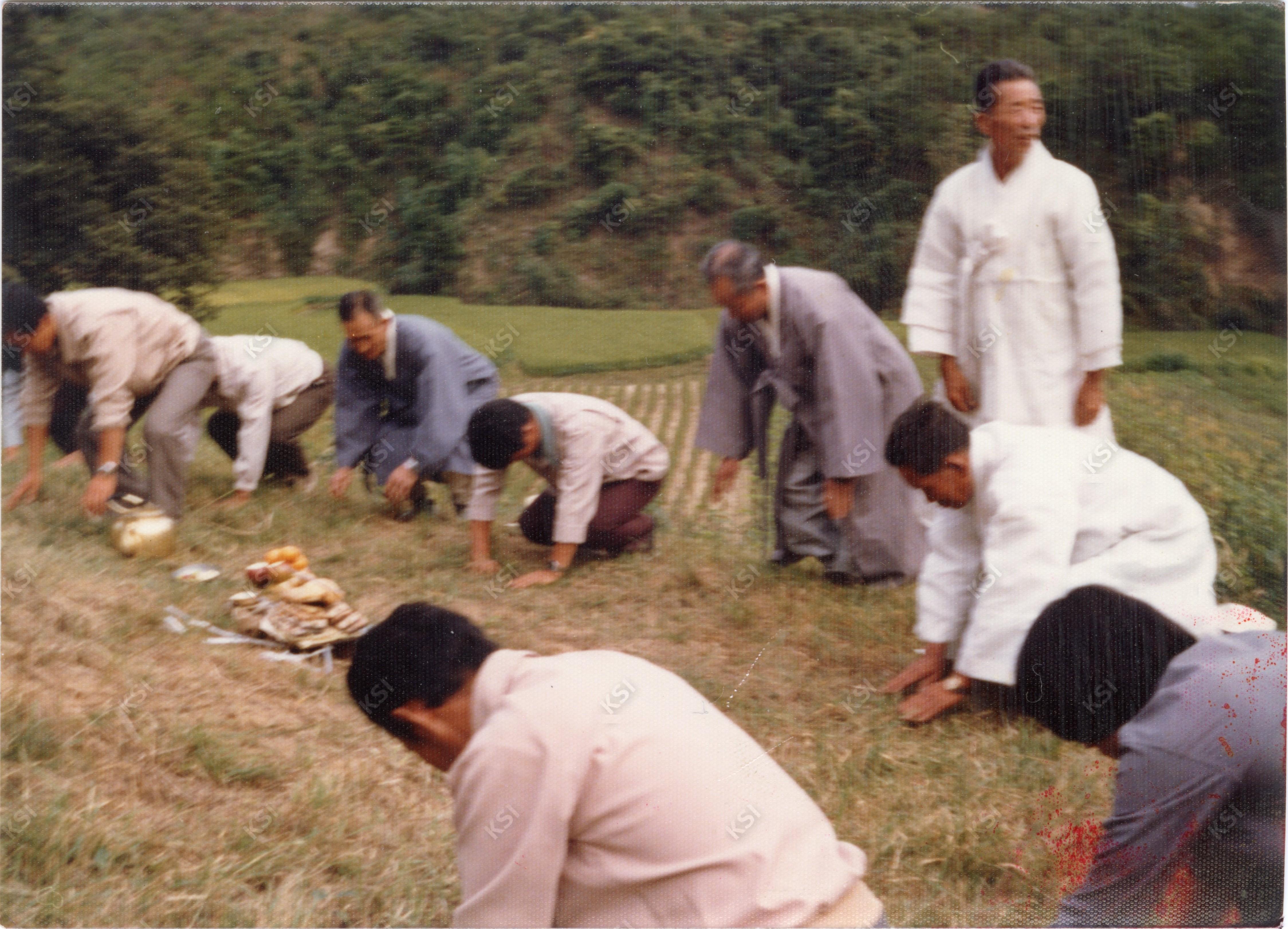 1980년대 망천리 산소에서