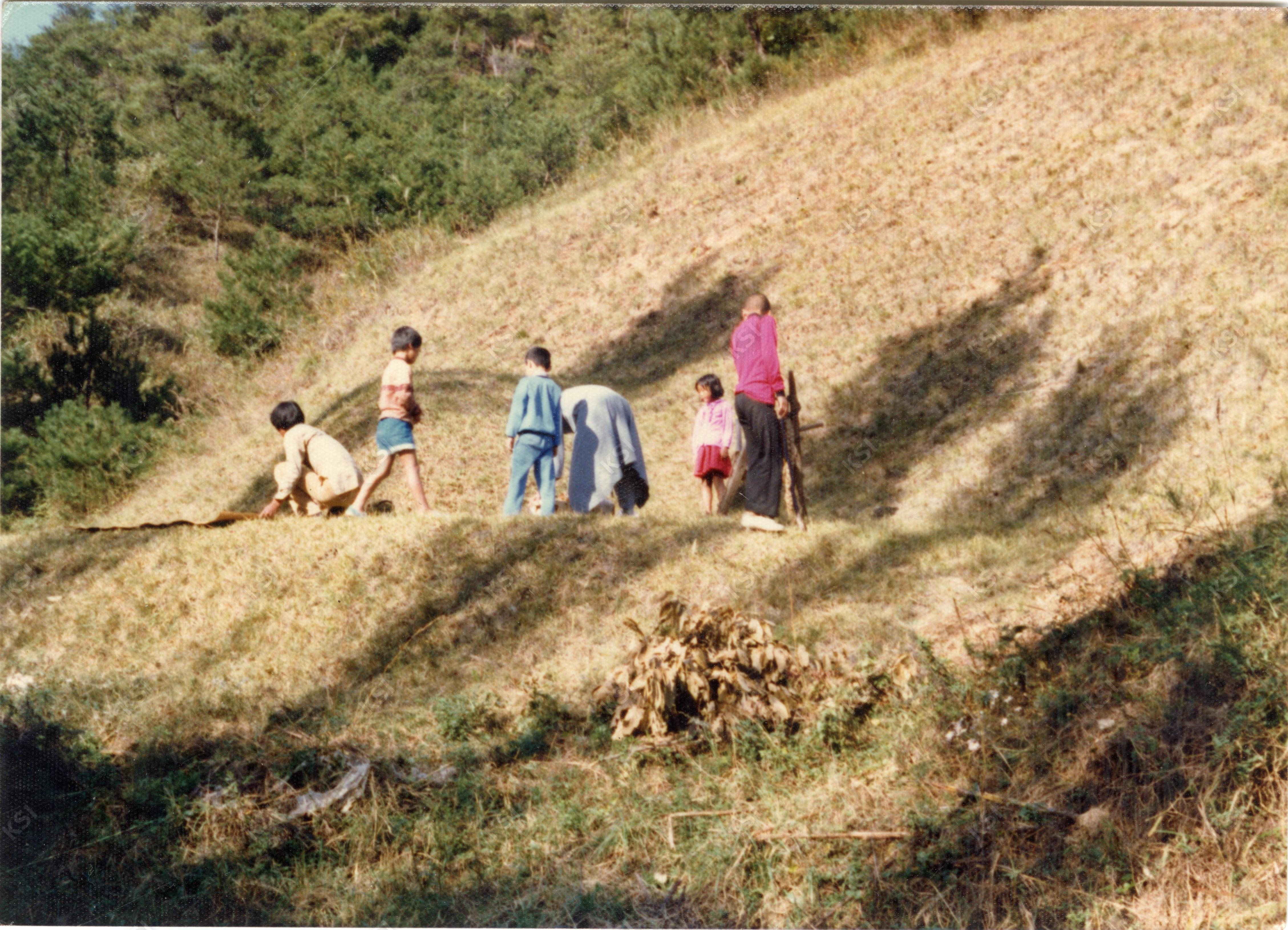 1980년대 추석 망천리 산소에서