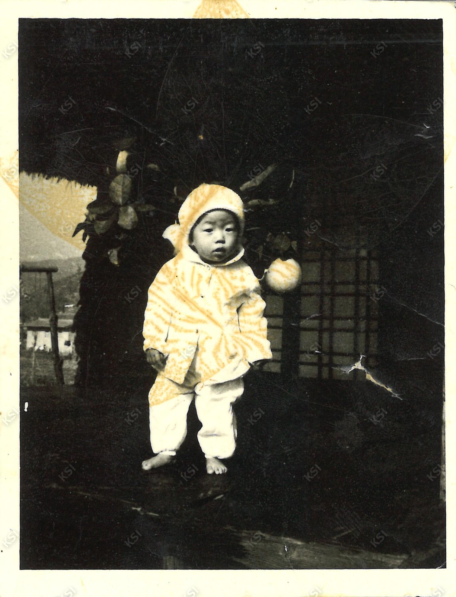1971년 유자나무 앞에 서있는 나