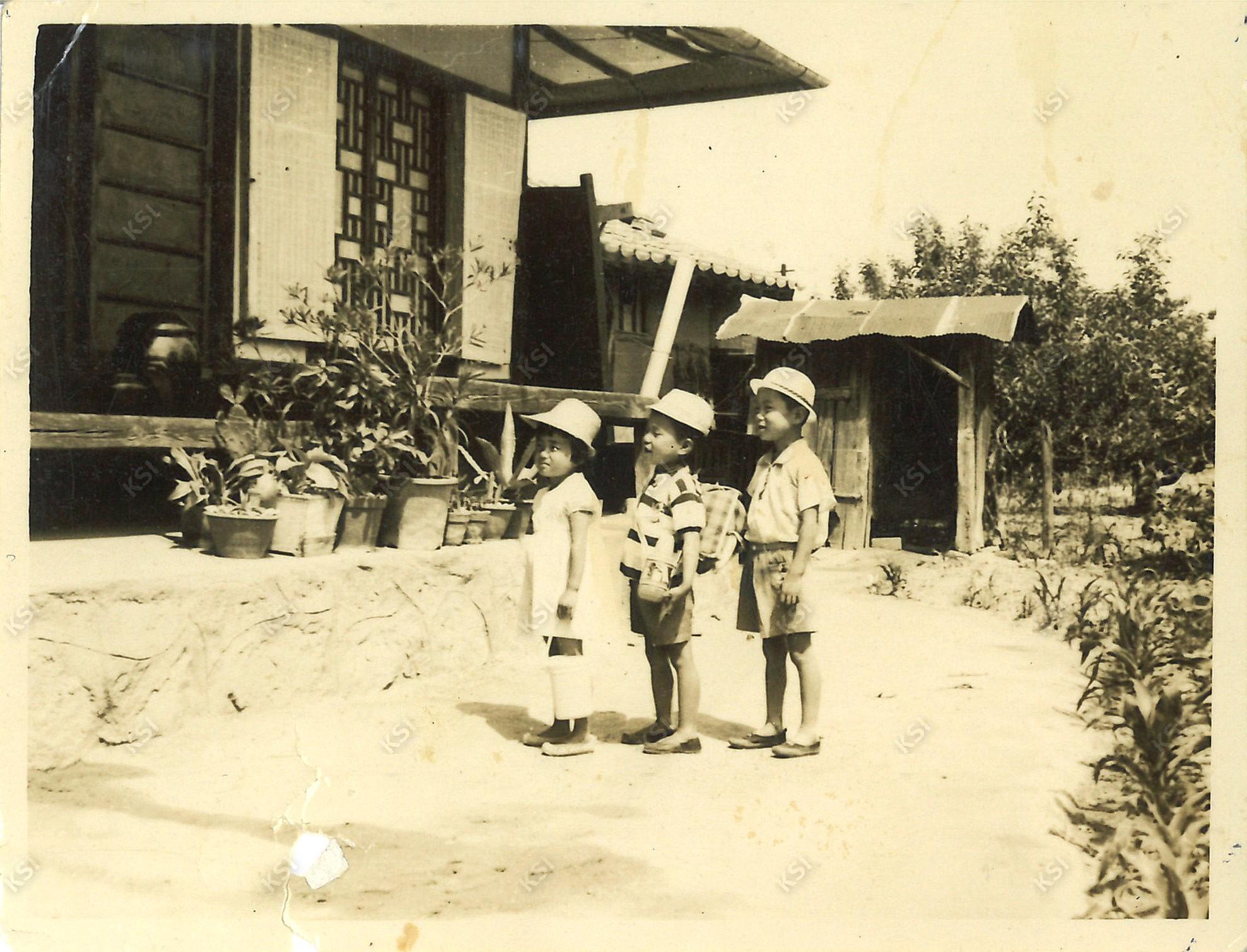 1971년경 용상동 사과밭 주인집 마당에서