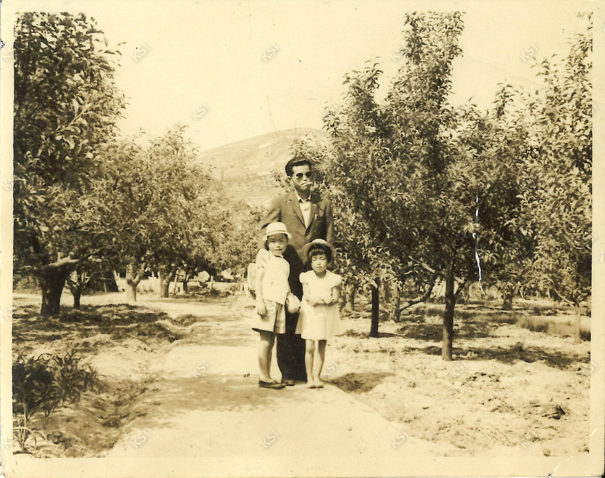 1971년경 용상동 사과밭에서