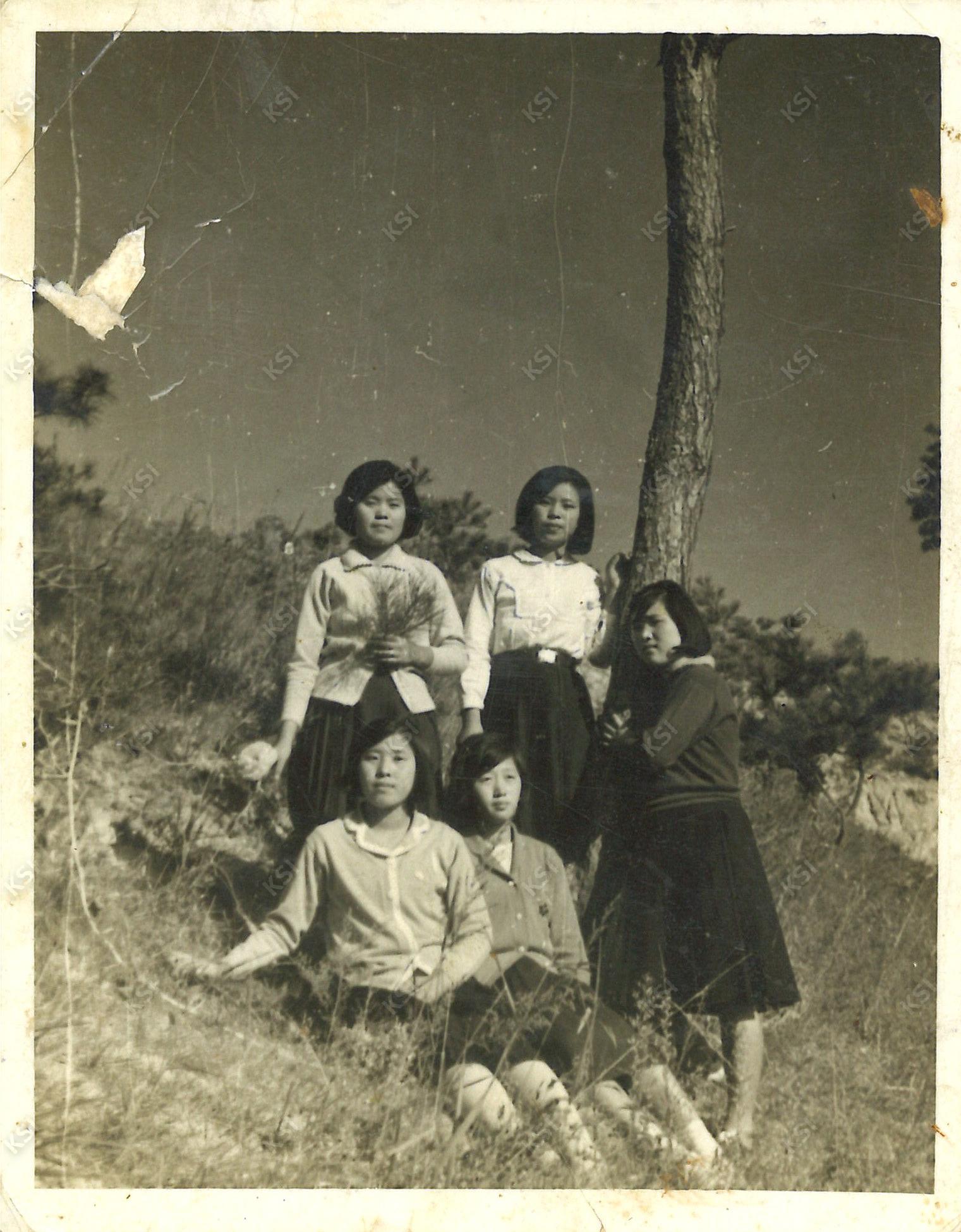 1960년대 초반 친구들과 예안 나들이