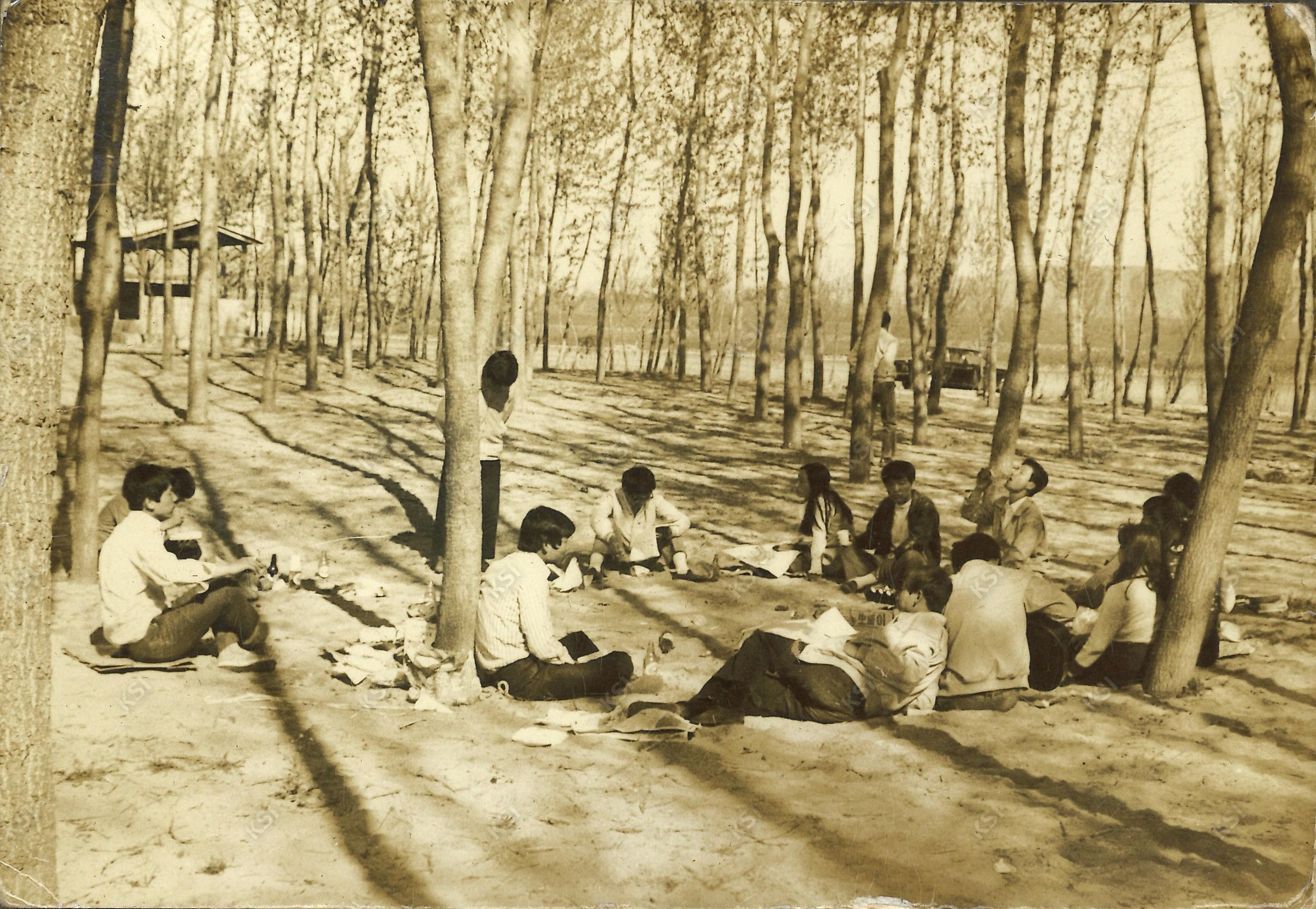 1970년대 초중반 대구 야유회