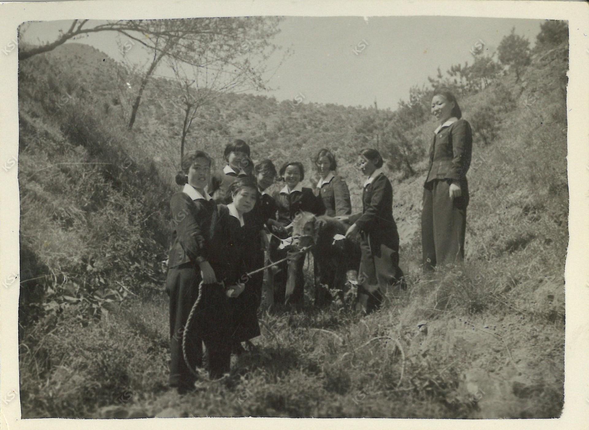 1950년대 후반 안동여고 선어대 봄소풍
