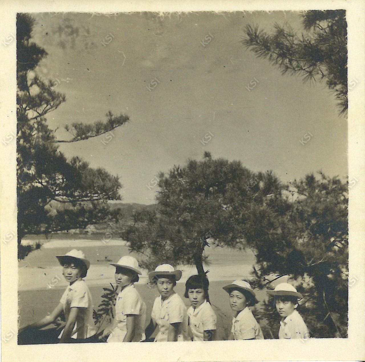 1950년대 후반 낙동강을 배경으로