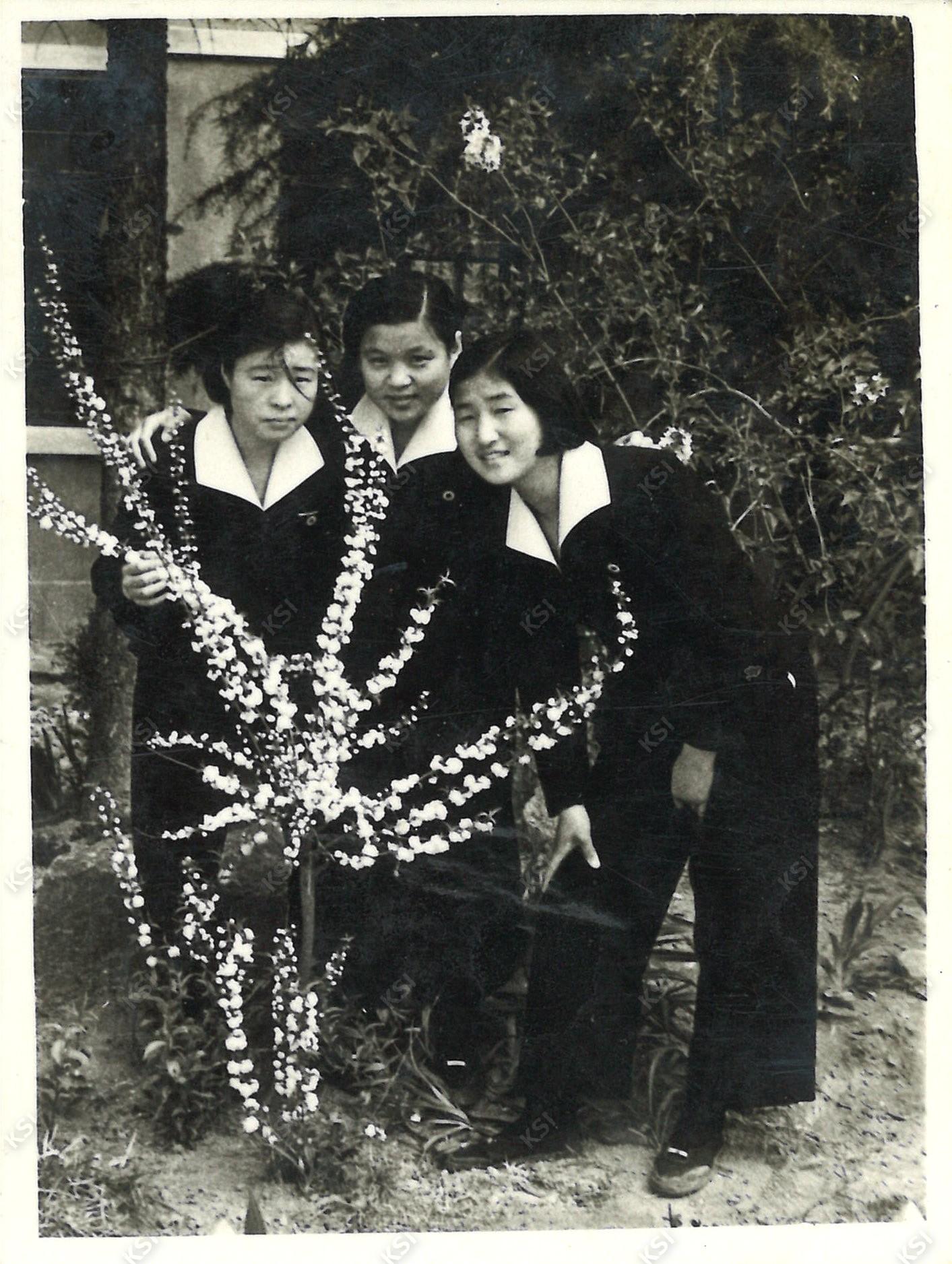 1950년대 후반 안동여고 교정 옥매화 앞에서